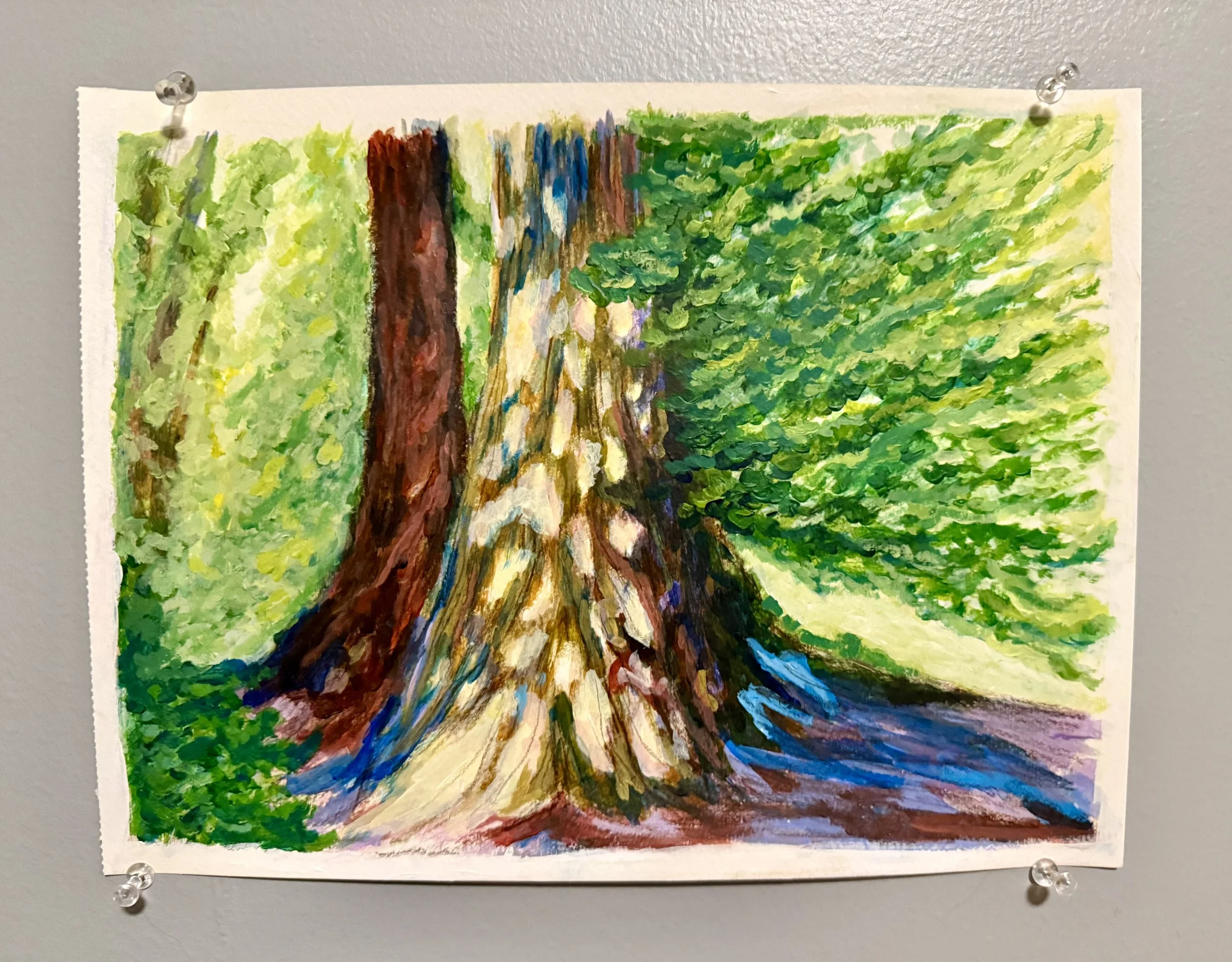 Cali Redwood 2.jpeg