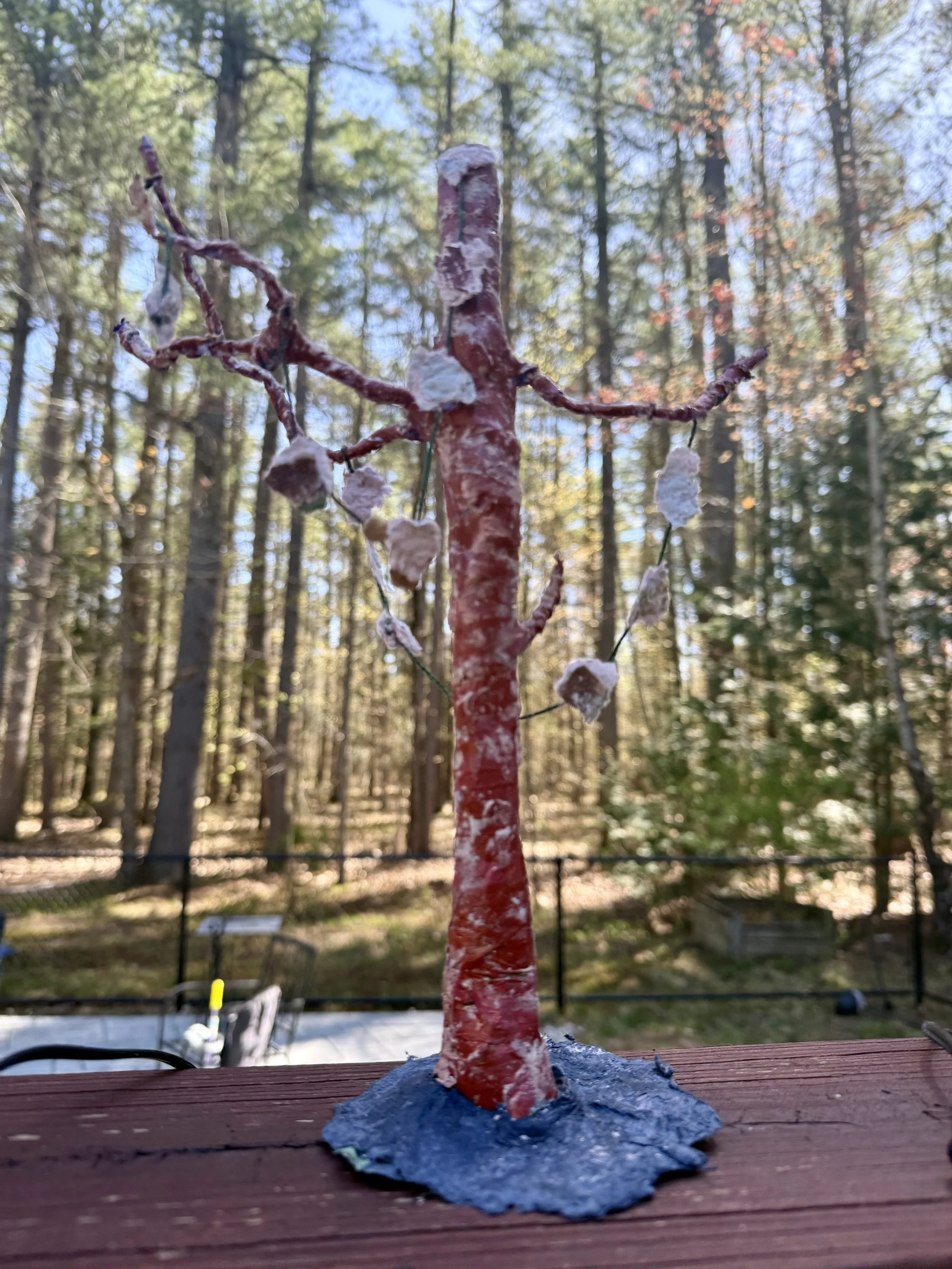 Papertree.jpeg
