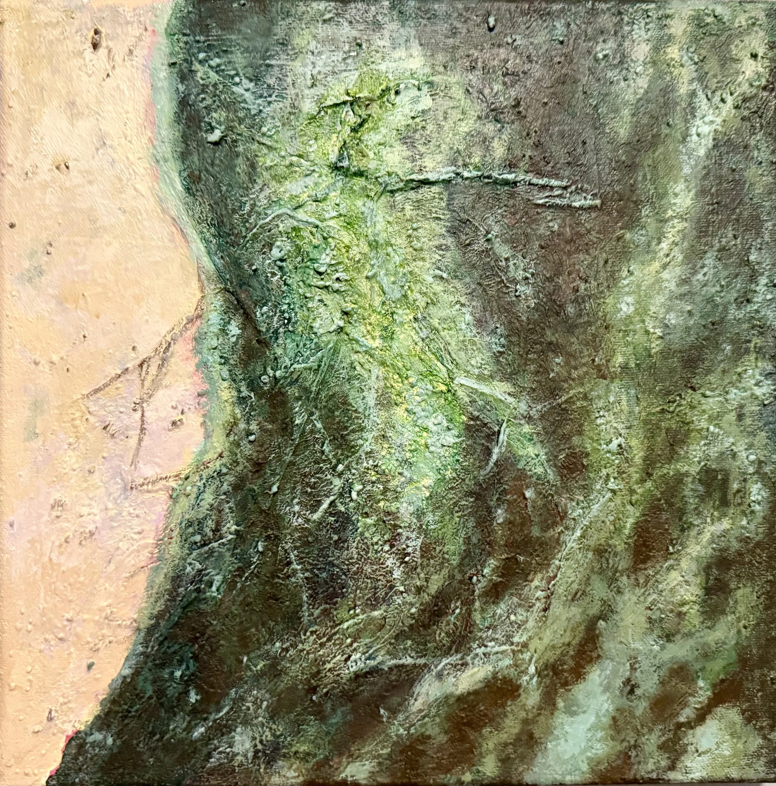 moss on bark.jpeg