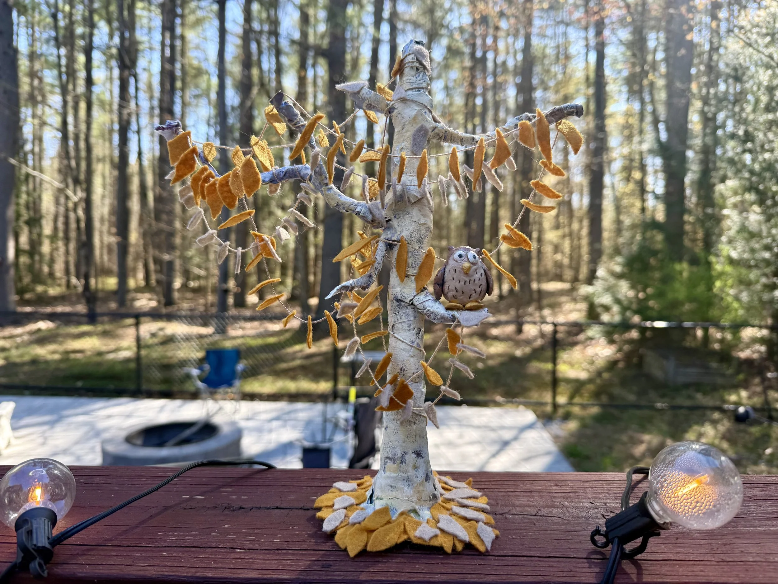 Owl Tree.jpeg