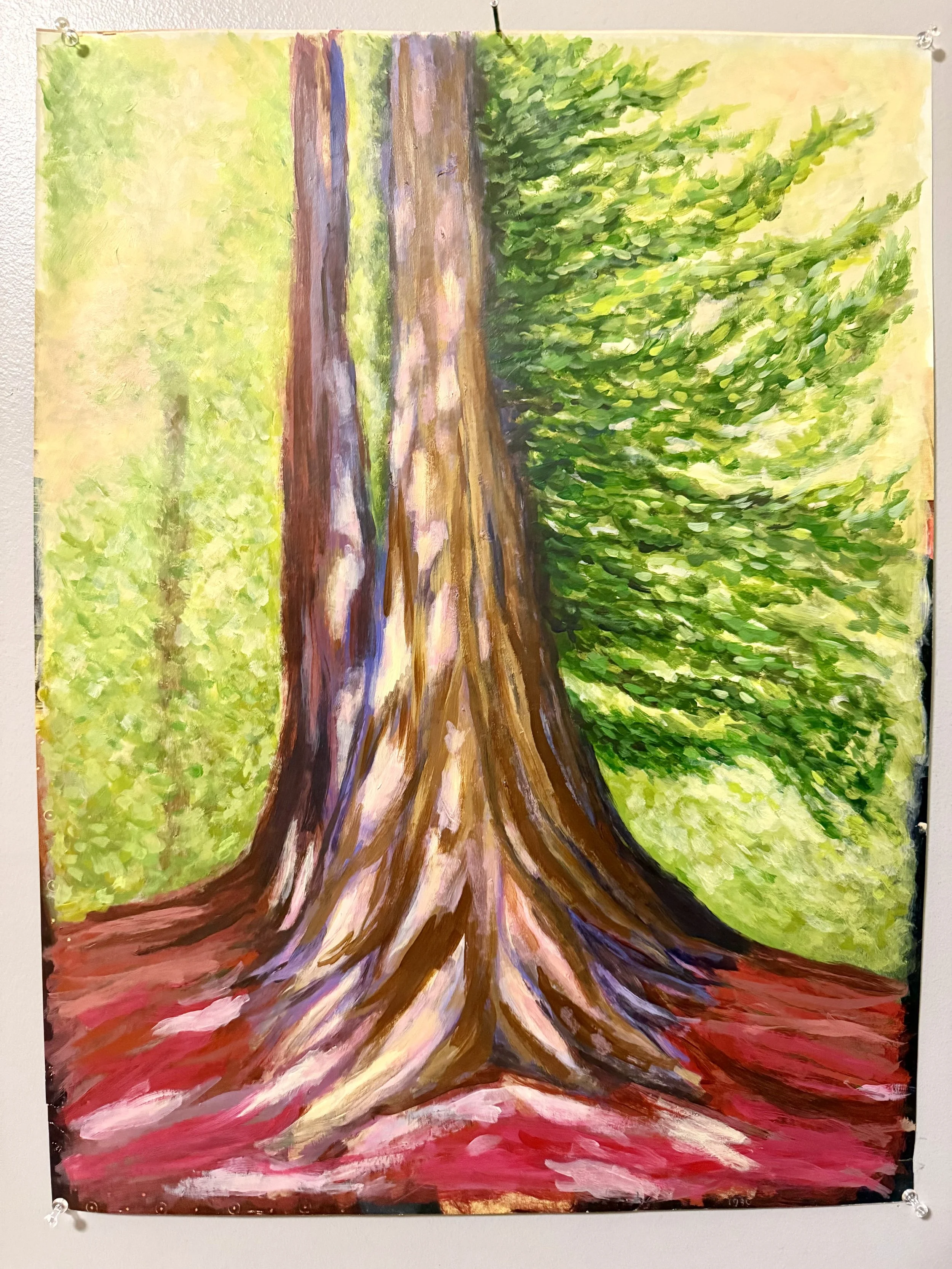 Cali Redwood 3.jpeg