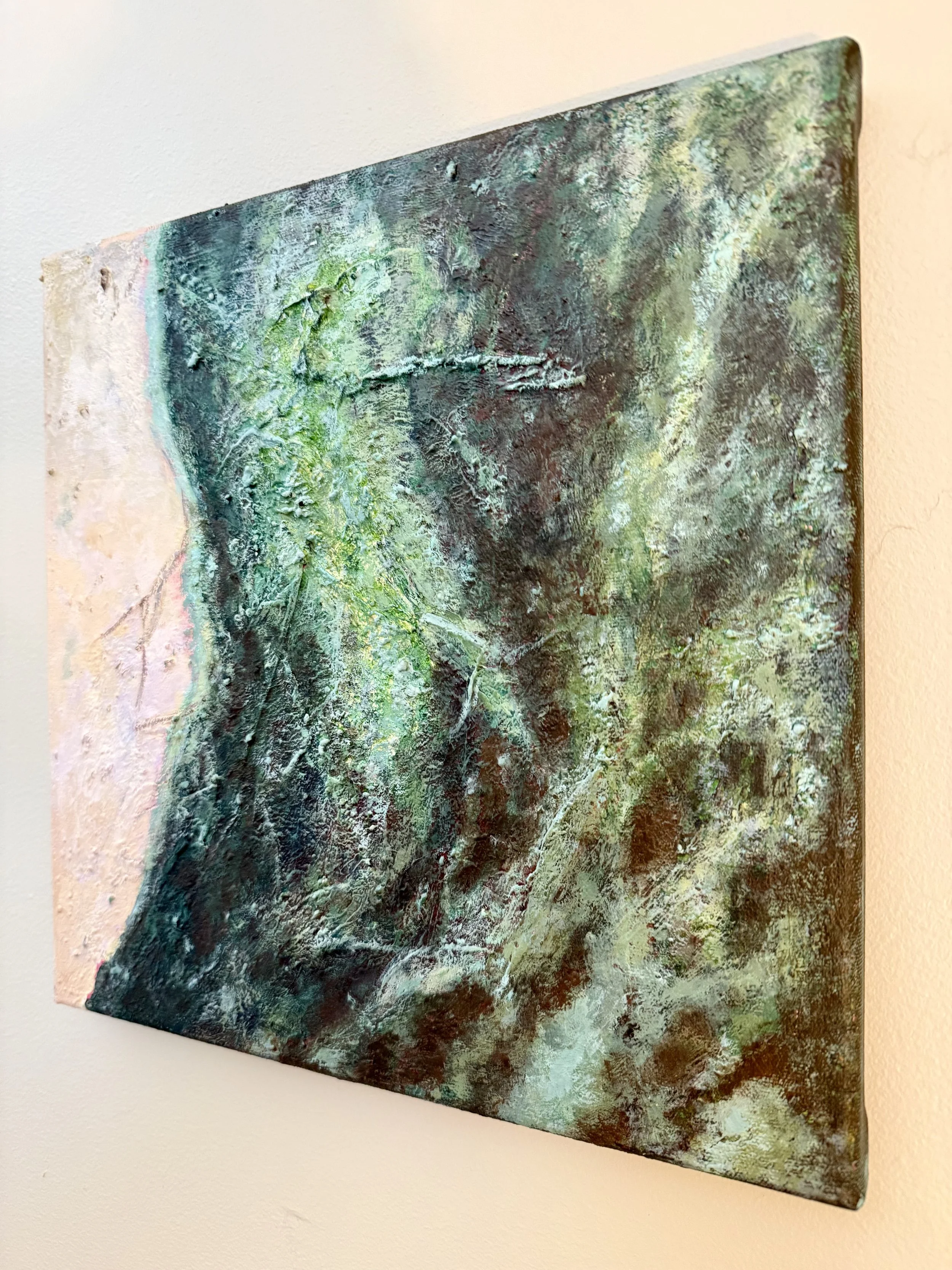 Moss on Bark 2.jpeg
