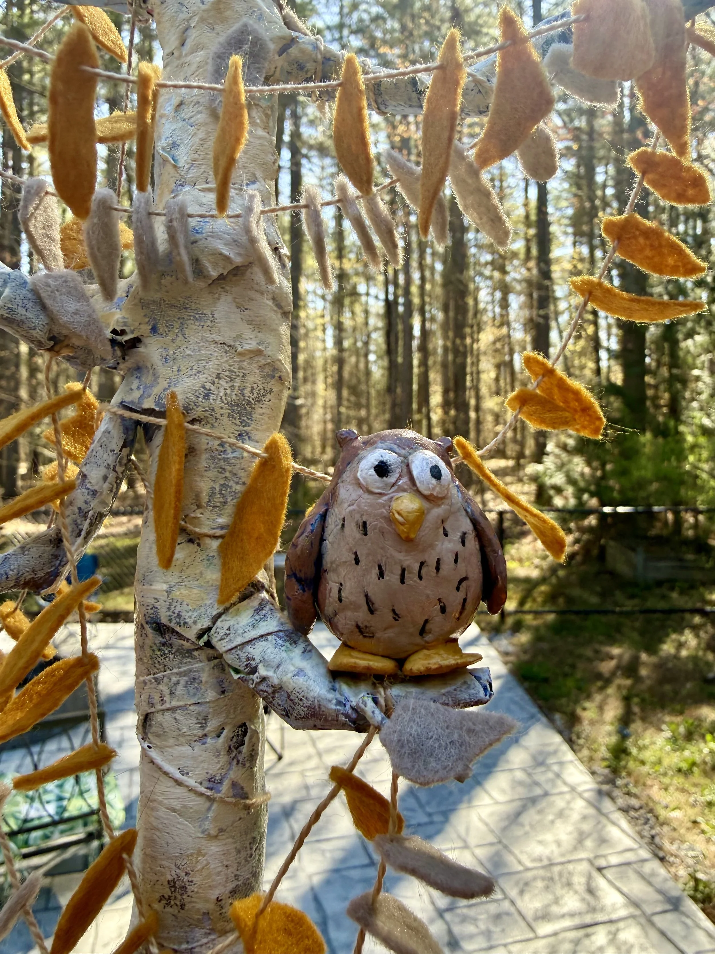 Owl tree3.jpeg