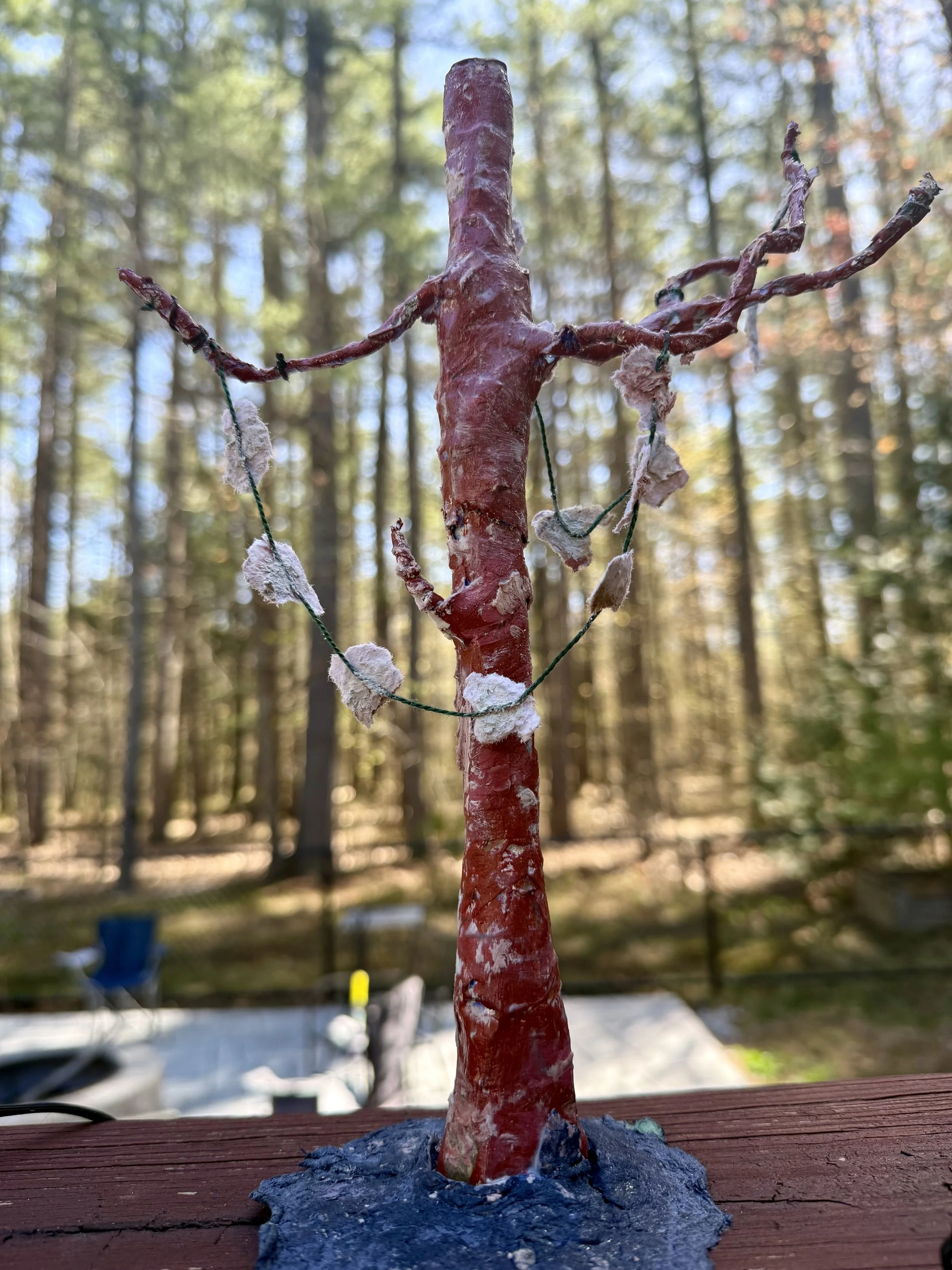 papertree1.jpeg
