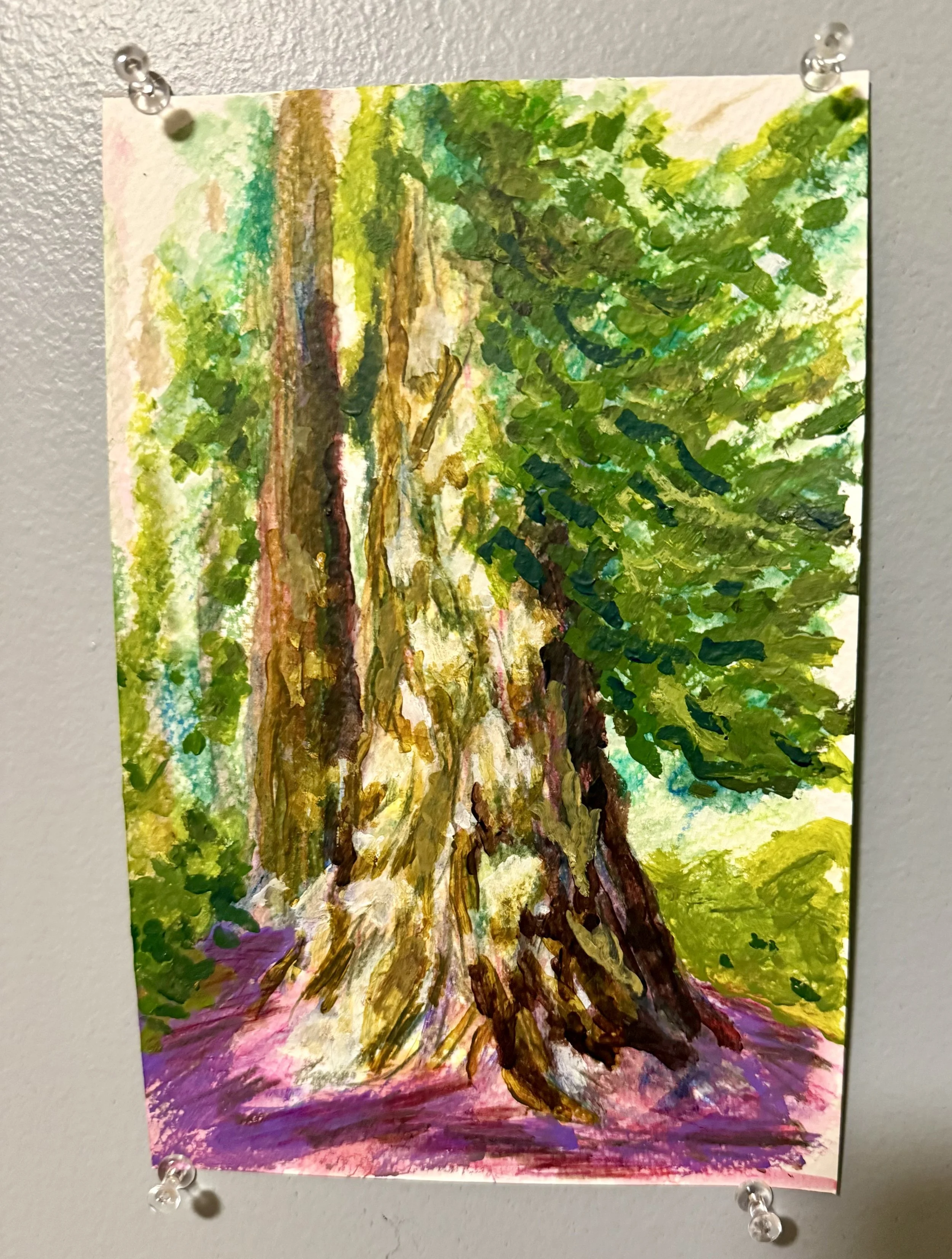 Cali Redwood 1.jpeg