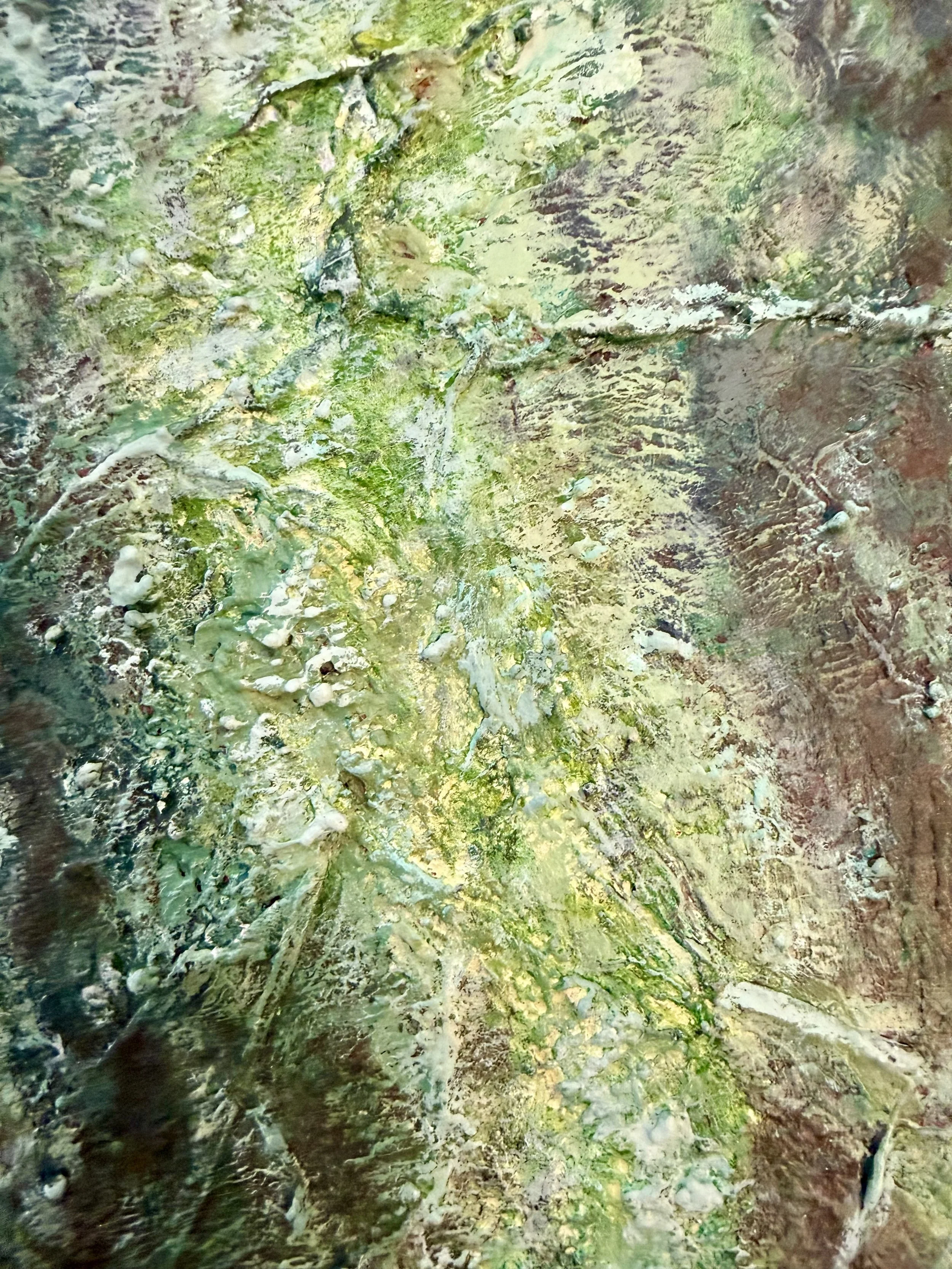 Moss on Bark5.jpeg