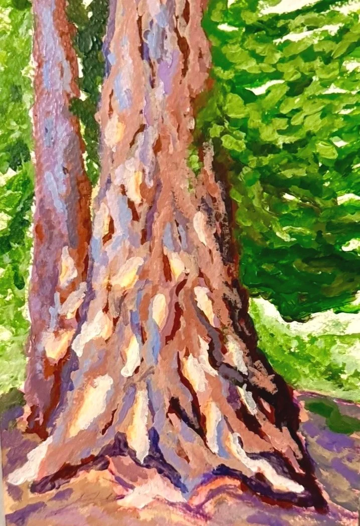 California+Redwood.jpg