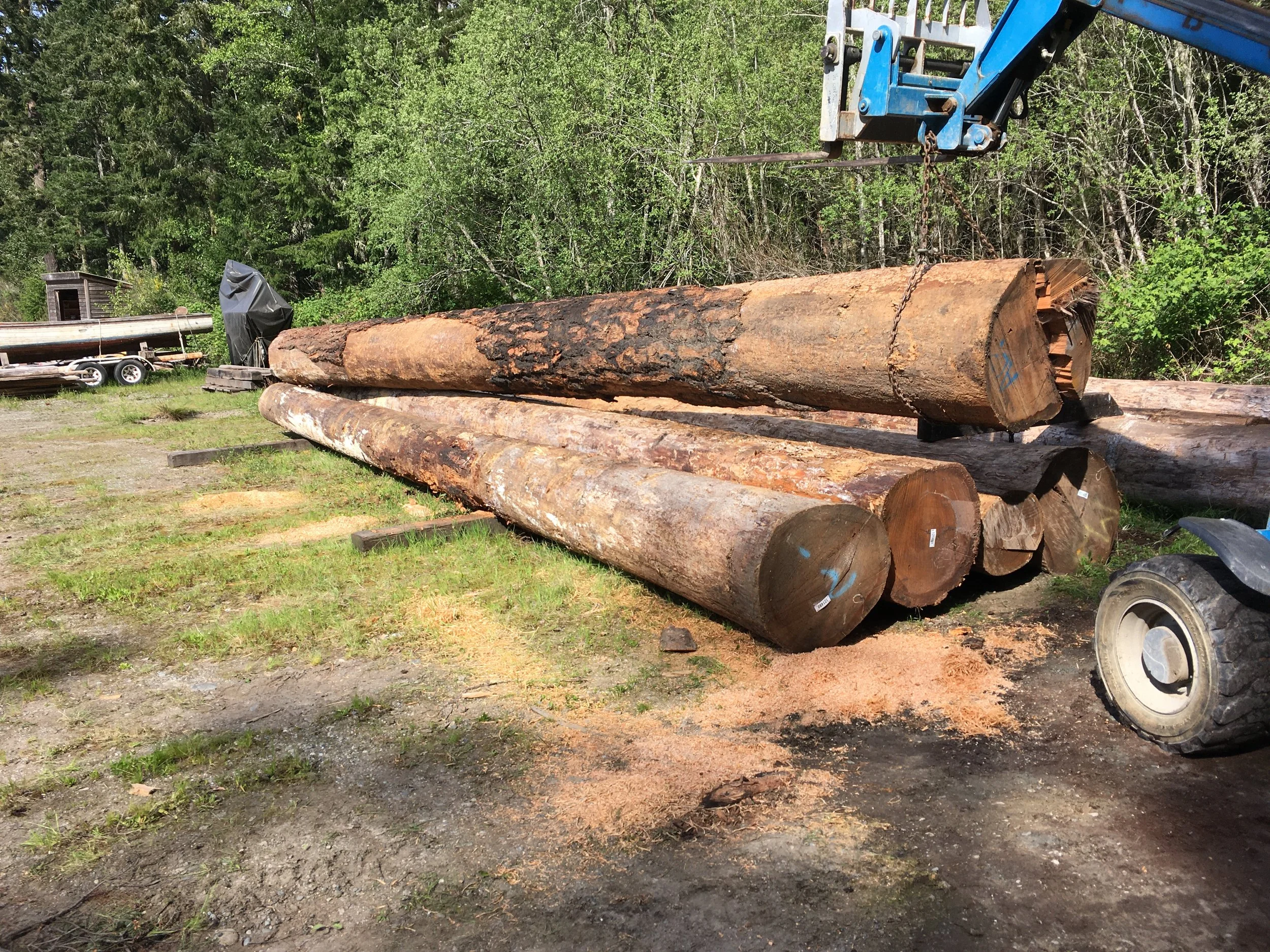 DF_log_stack.JPG