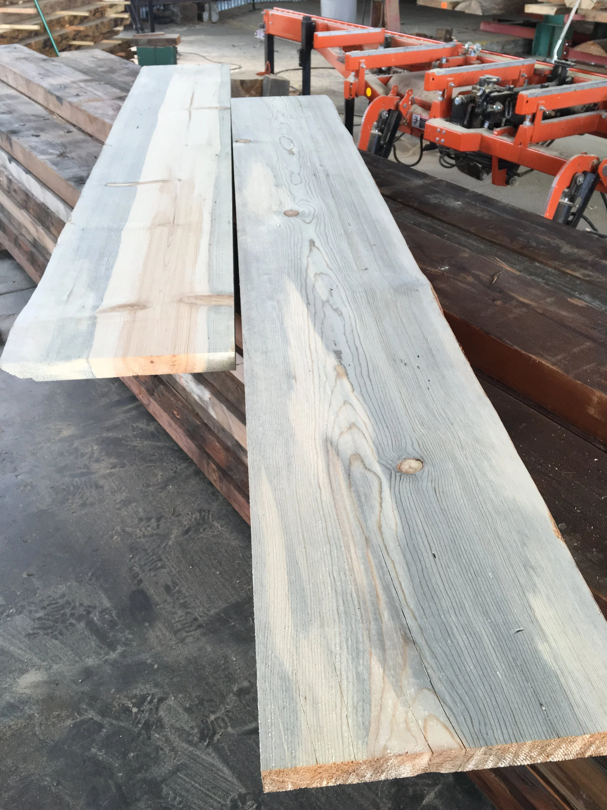 pine_blue_stain_slabs.JPG