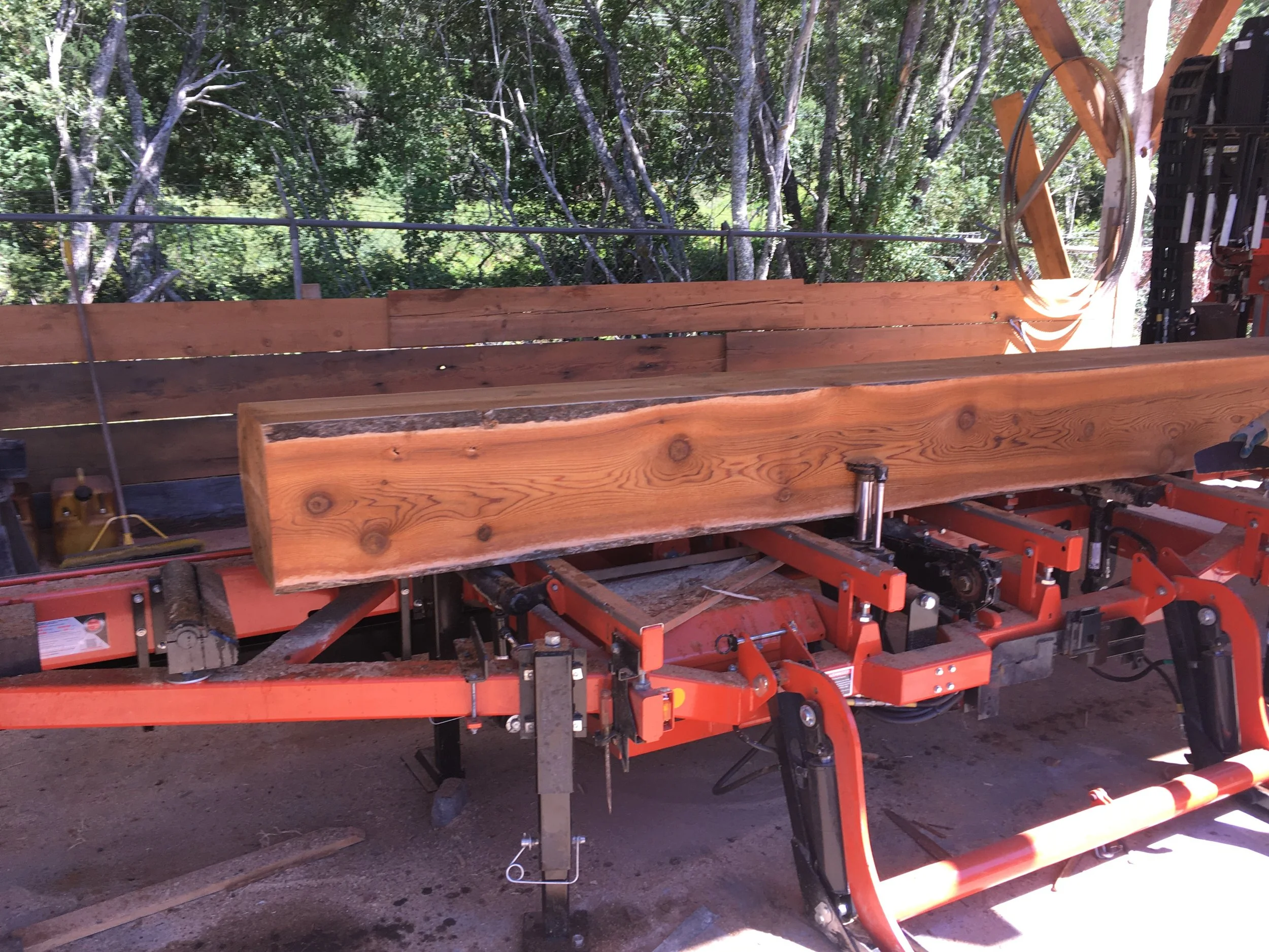 Western red cedar float log on the sawmill