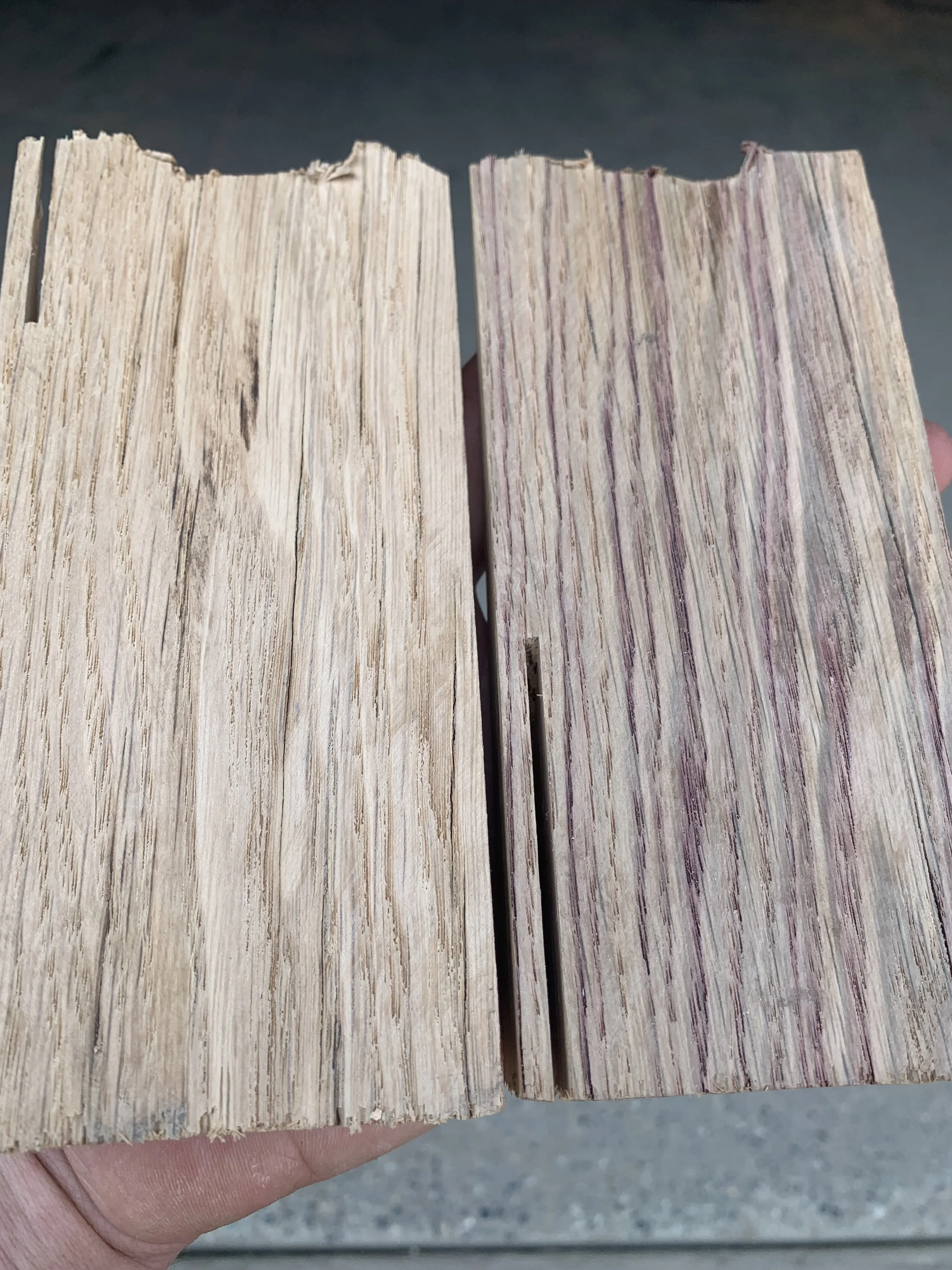 Purple wine stain detail on oak tank staves