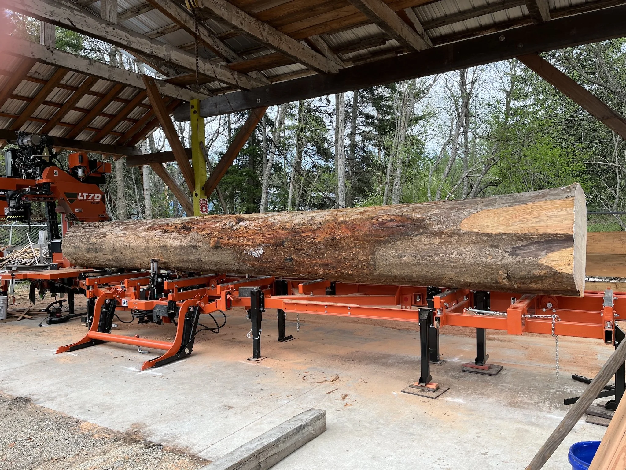 fire_killed_log.jpg