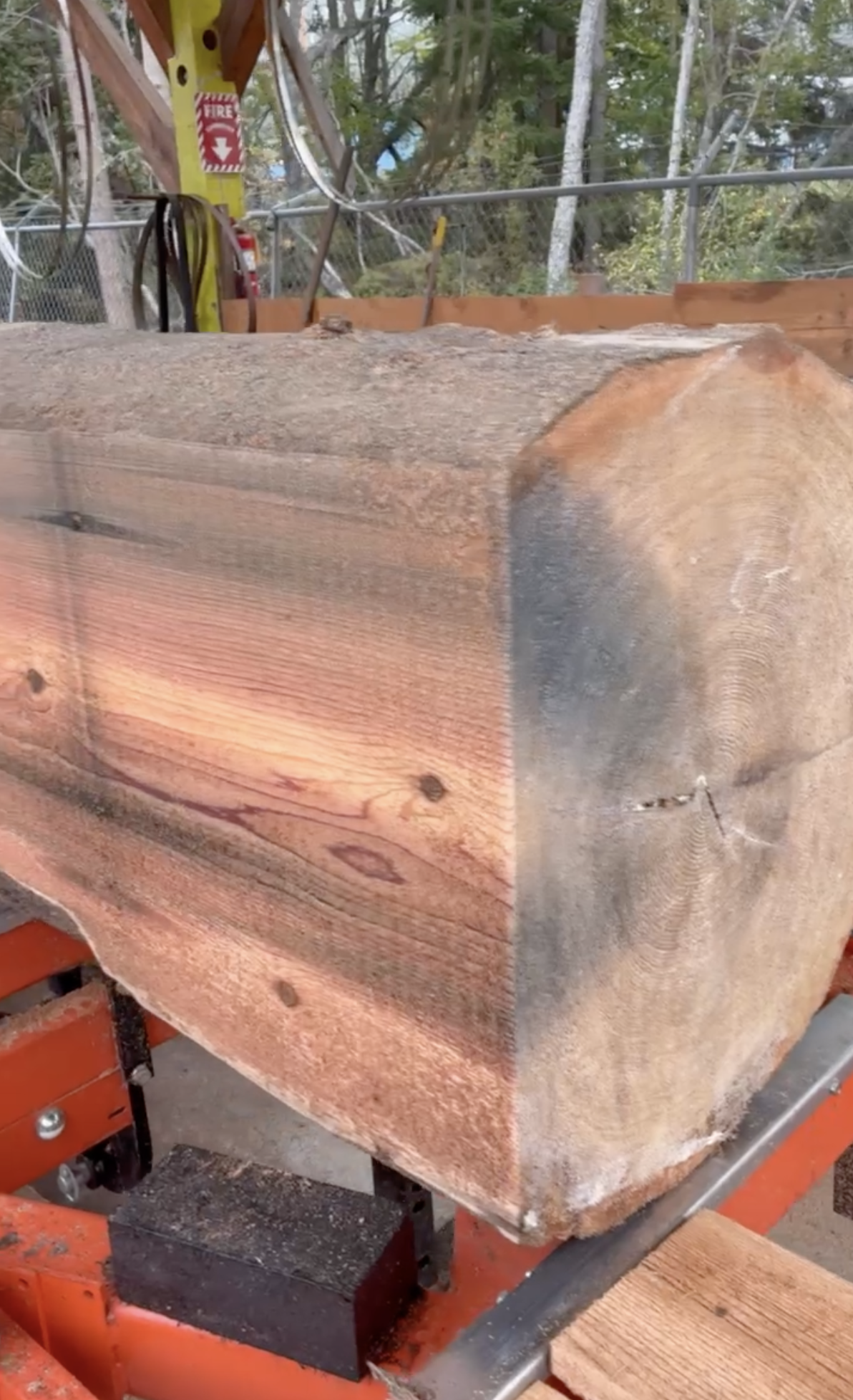 Float log showing staining from where steel bolts were used to attach to the houseboat