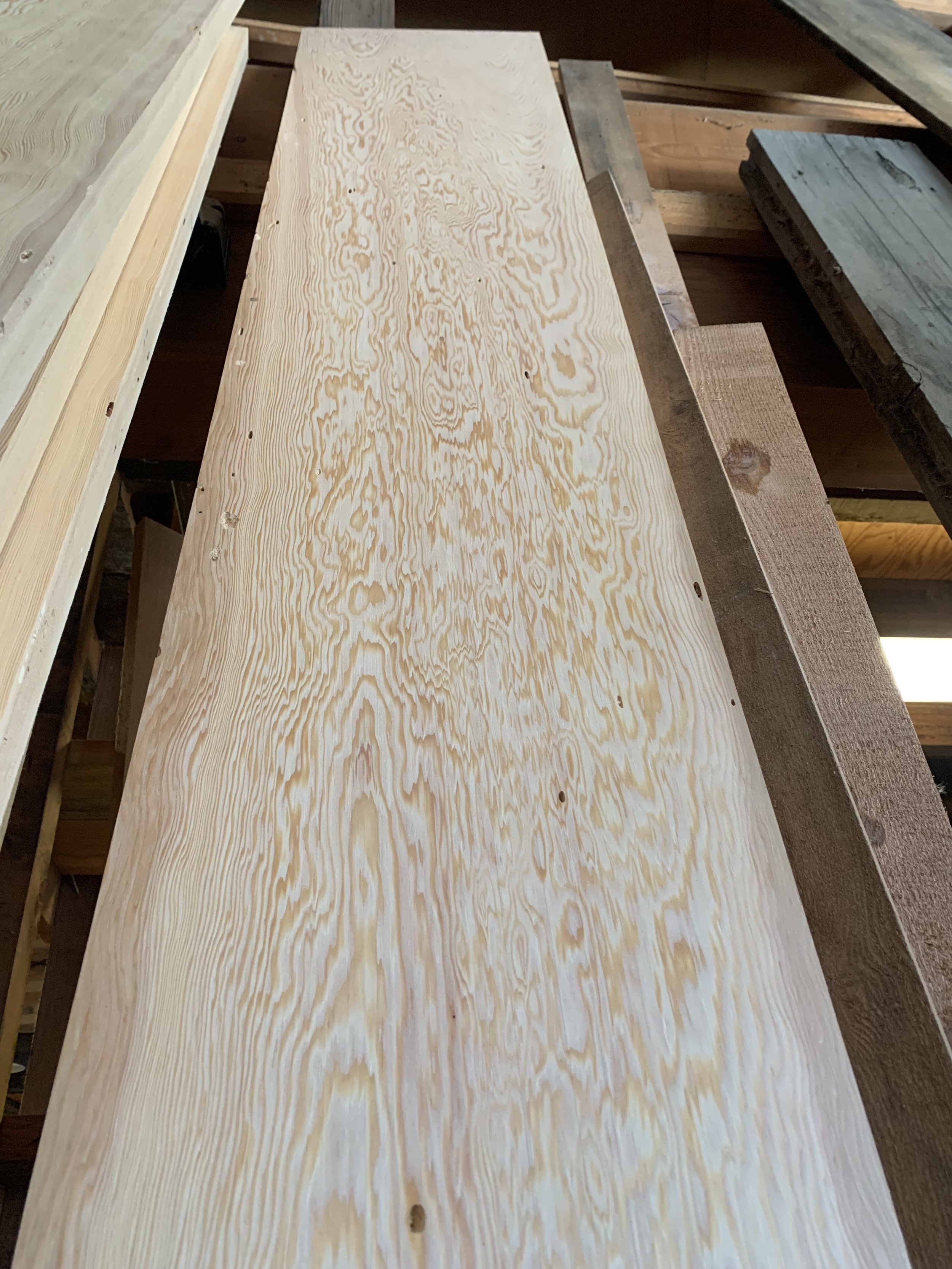 Surfaced fire-killed fir board showing bug activity