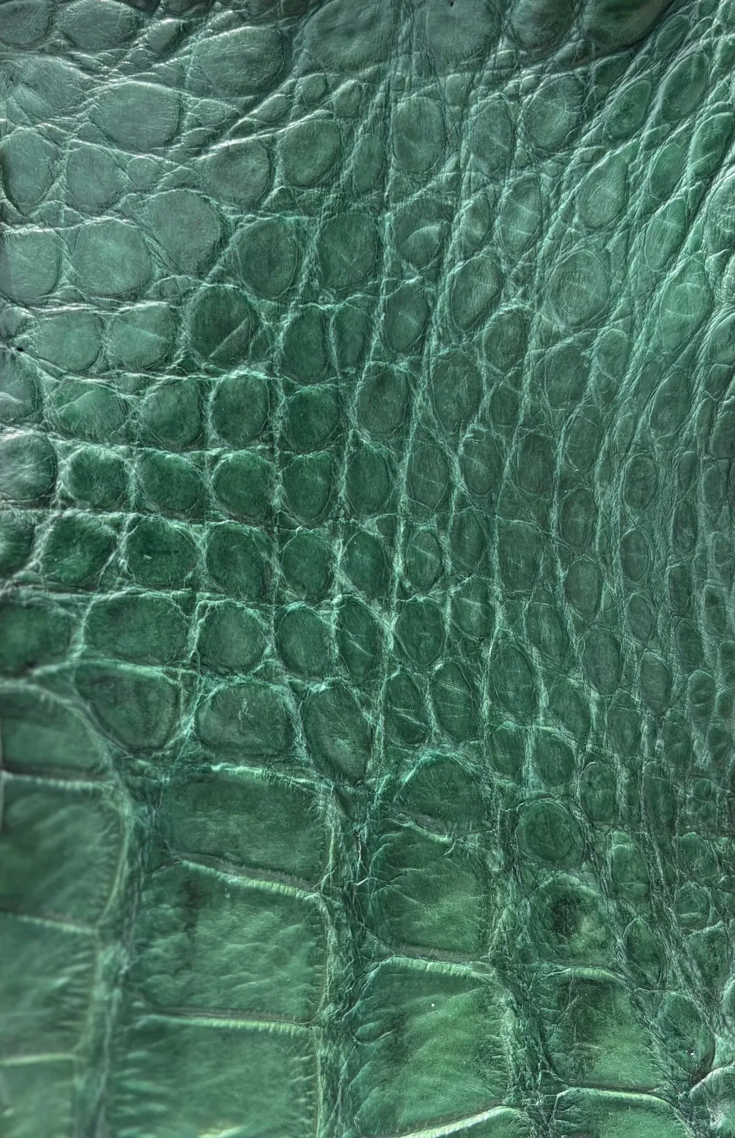FOREST GREEN