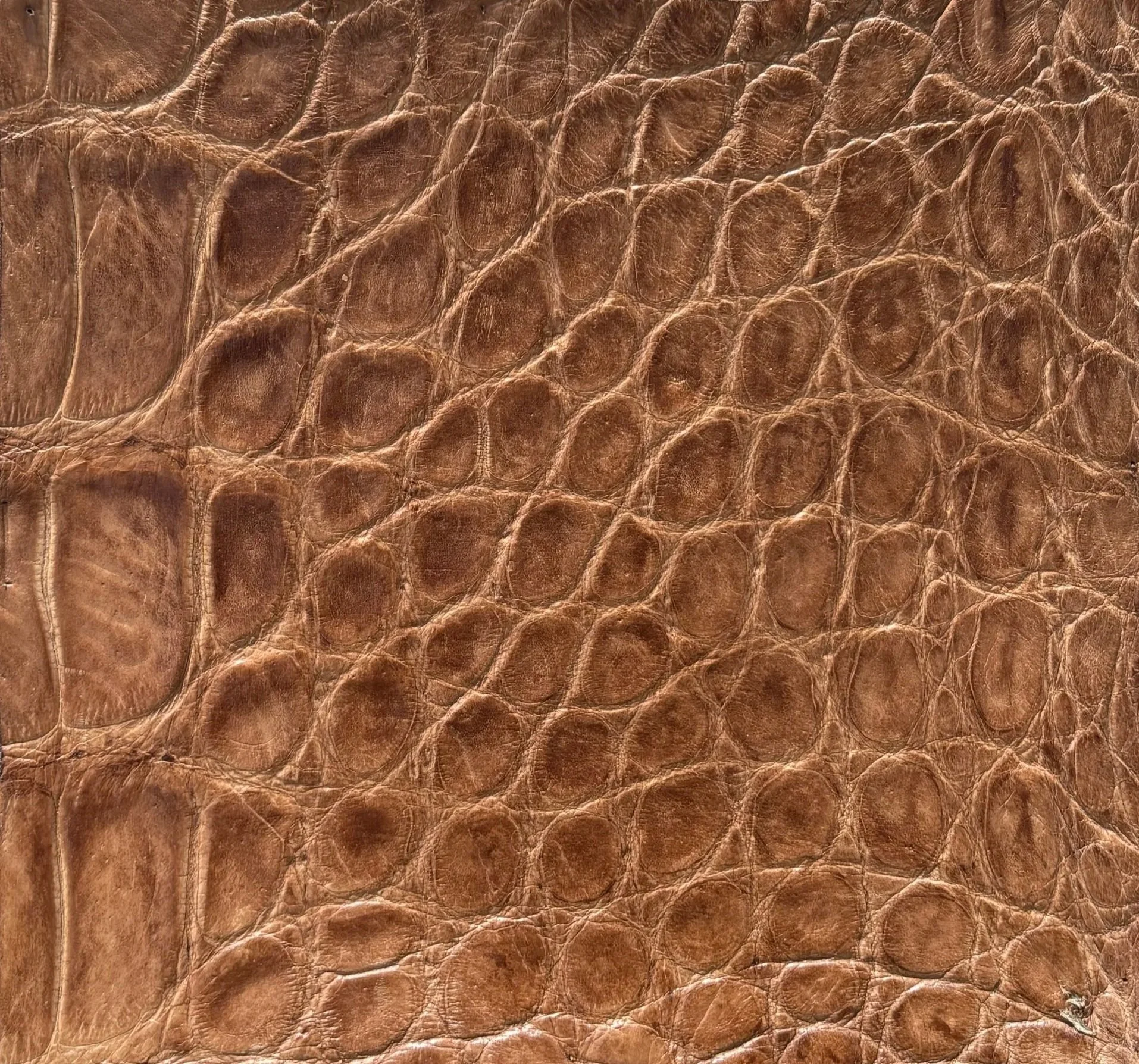 LUCCHESE