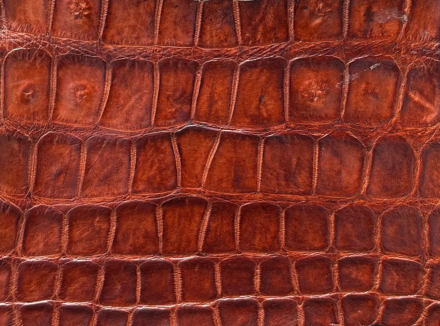 COGNAC