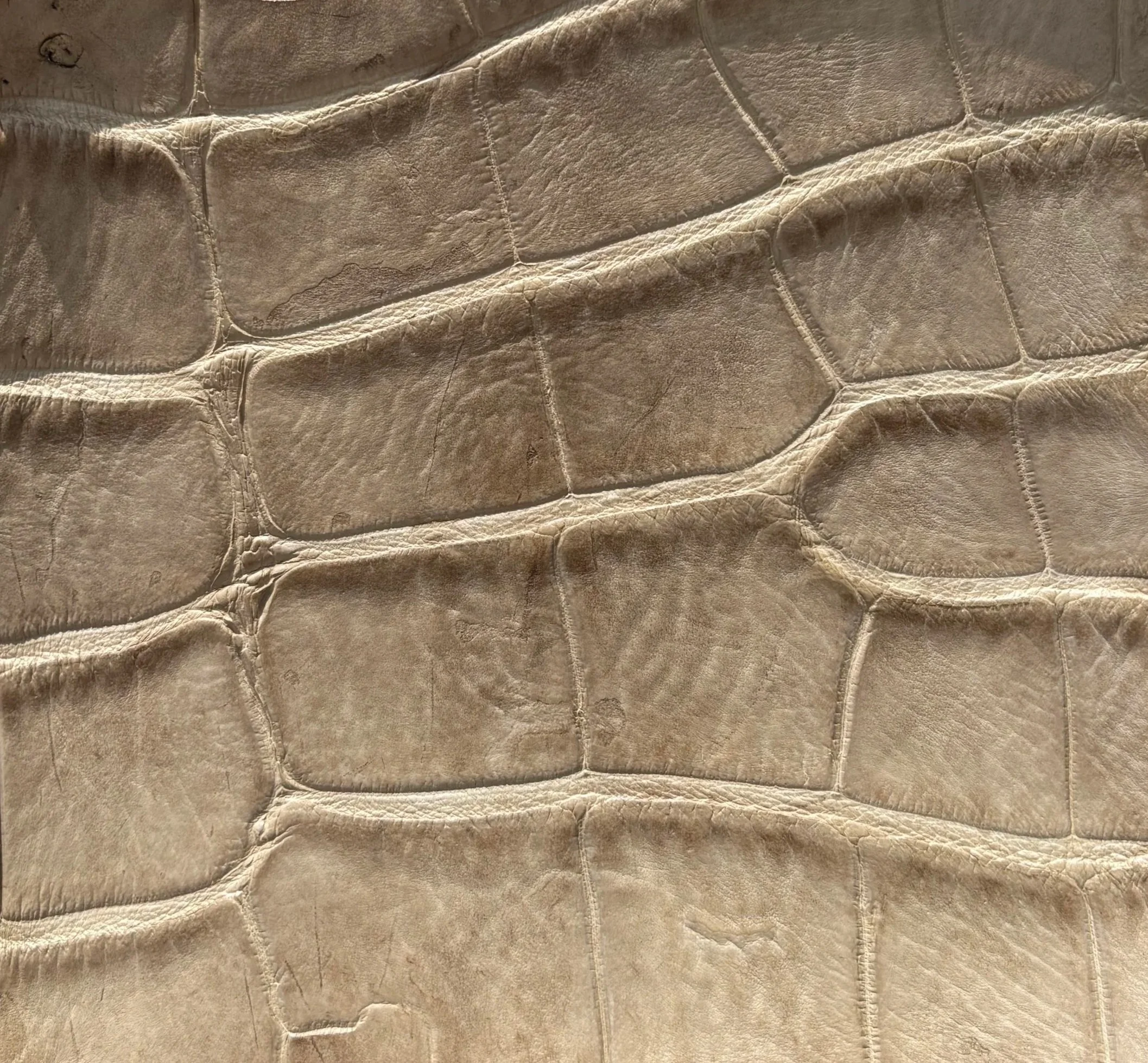 SADDLE