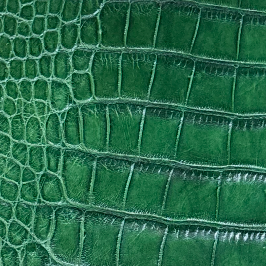 FOREST GREEN