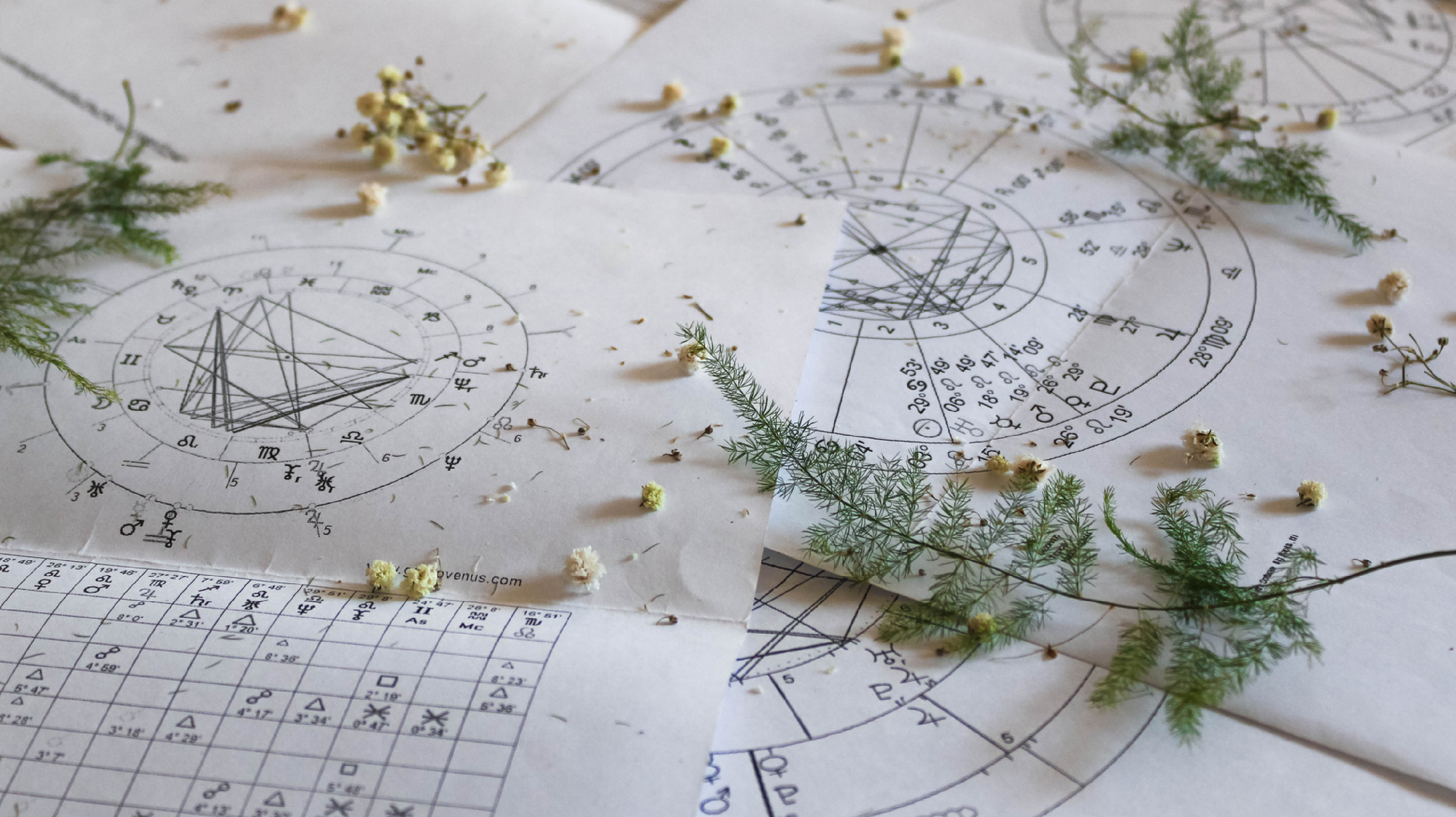 A table with astrology charts, small flowers, and green fern leaves scattered across the surface.