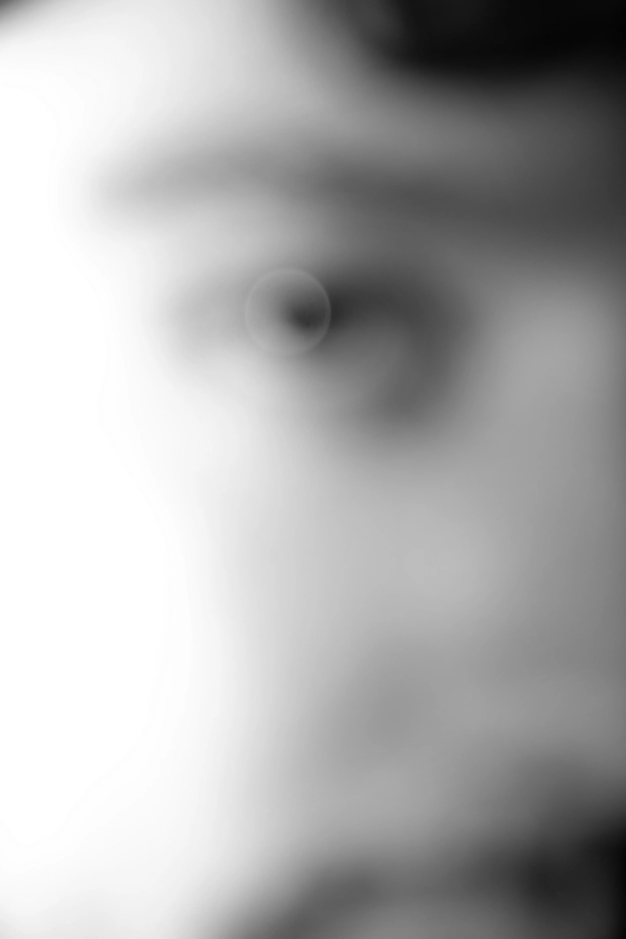 ExperimentonOV_262.jpg