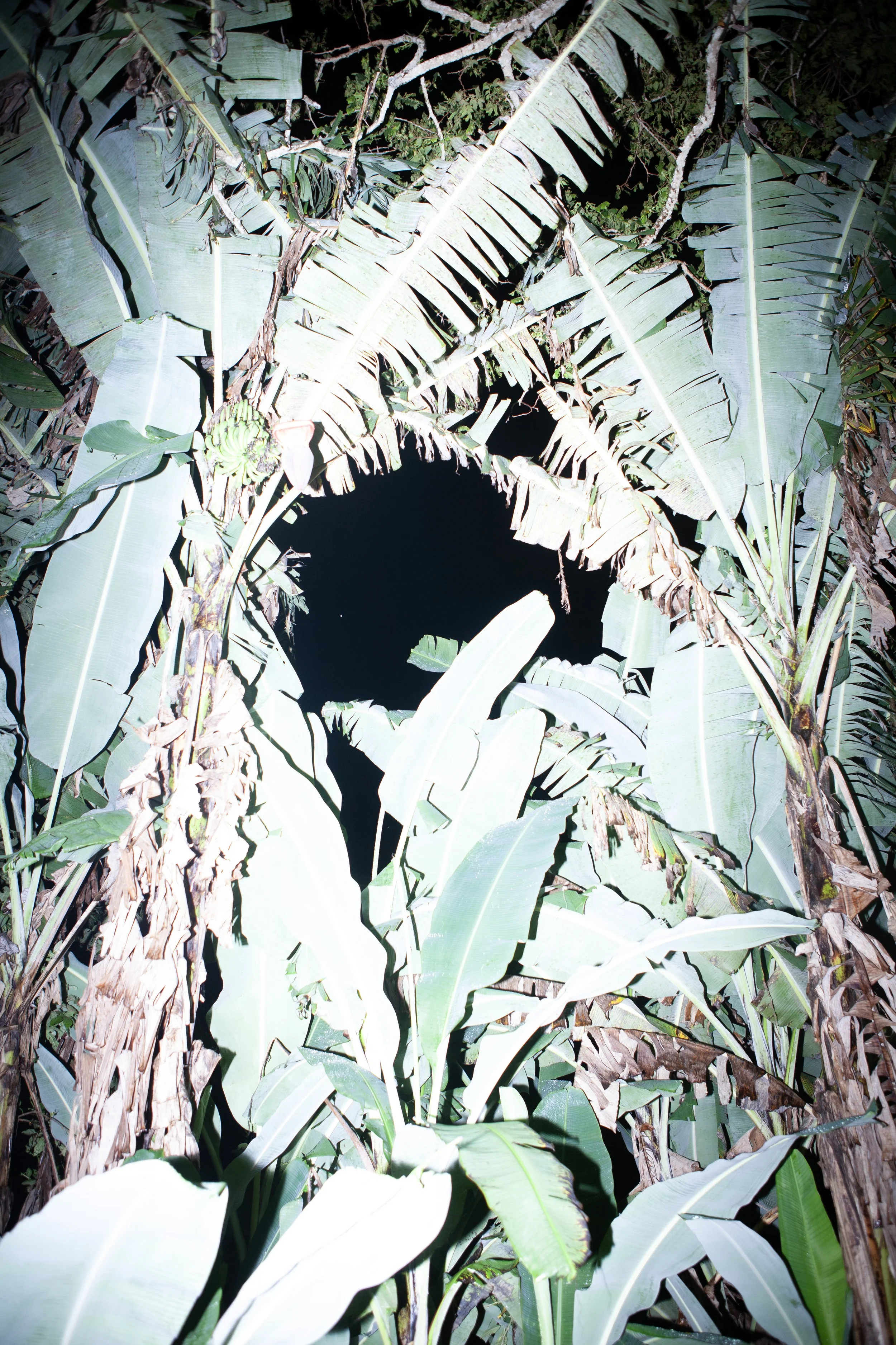 GARDEN_10.jpg