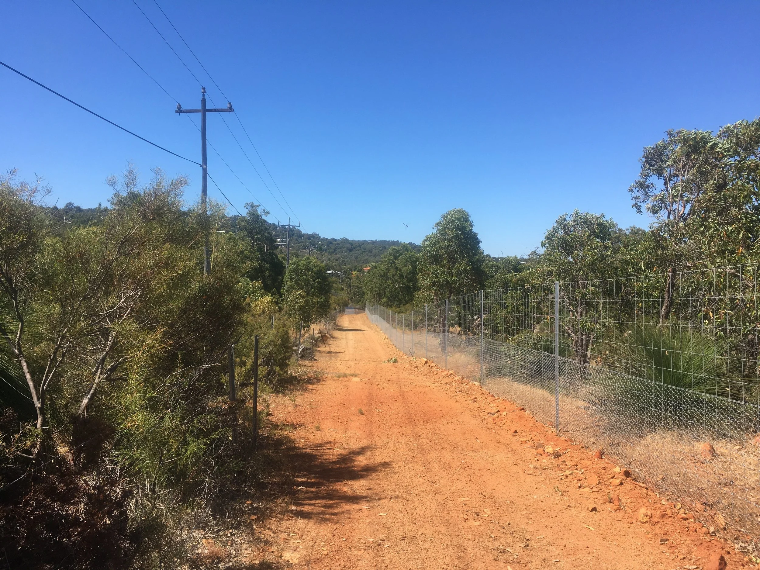 Access Road and Fire Break construction
