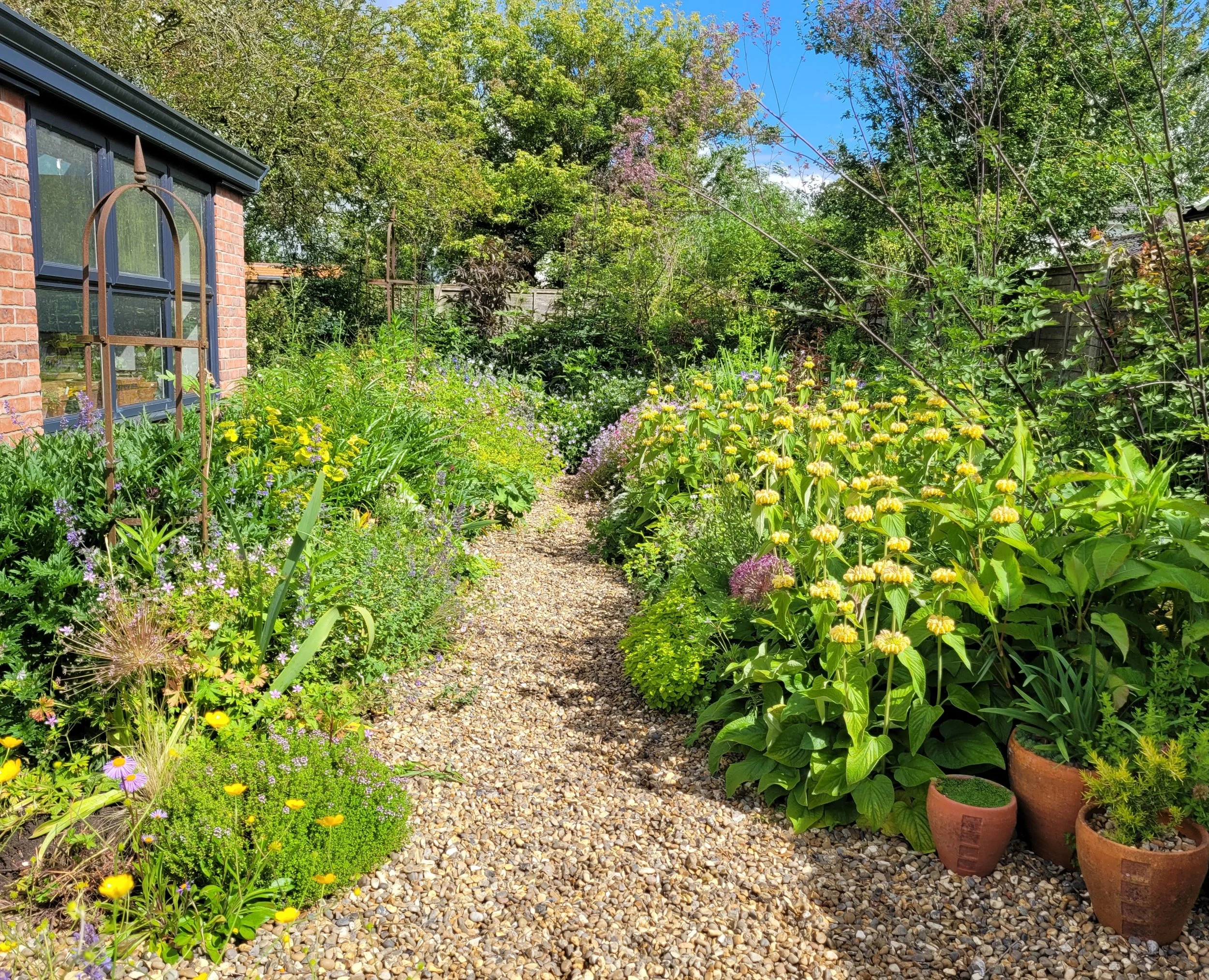 Perennial bed in June showcasing a range of plants