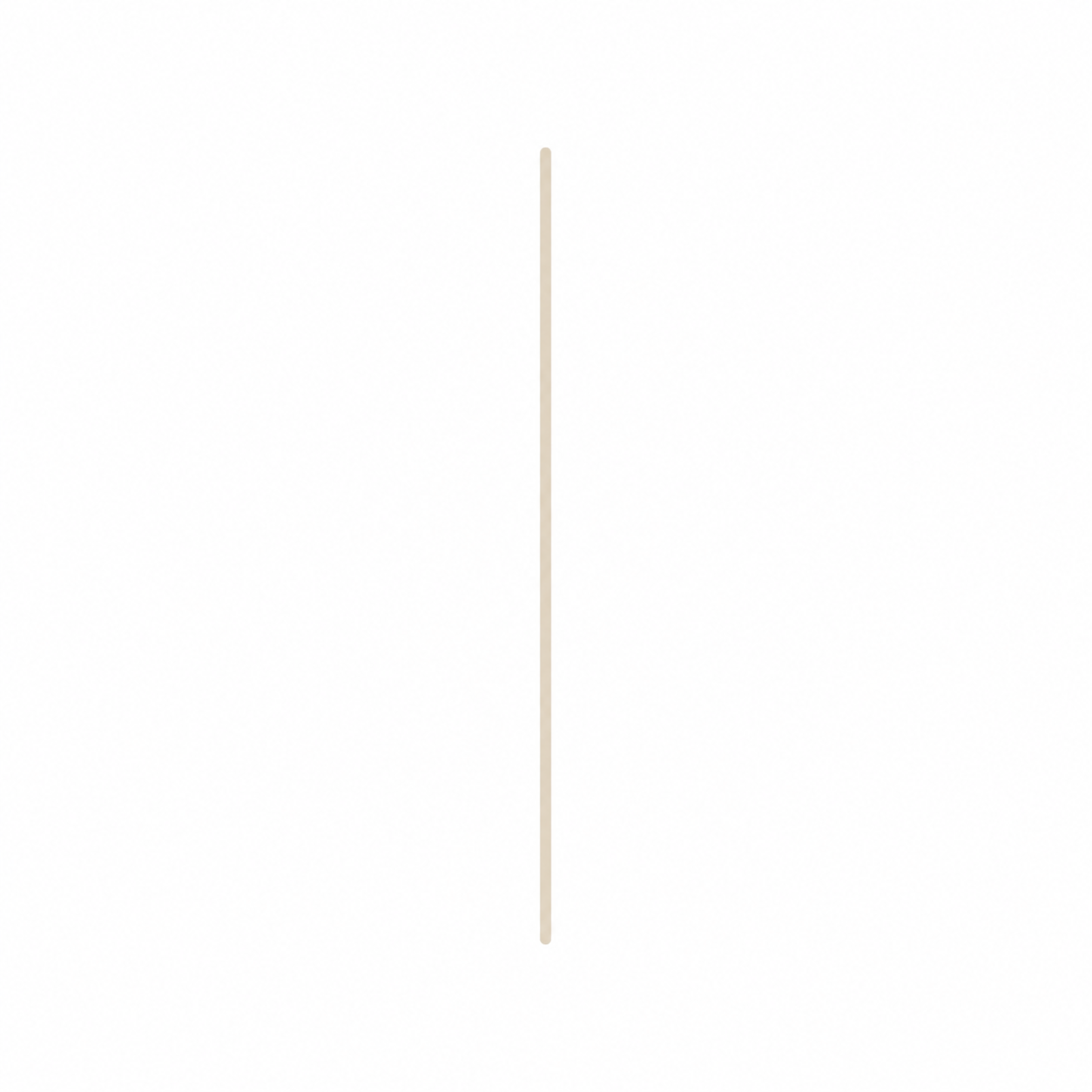 A single wooden stick on a plain white background.