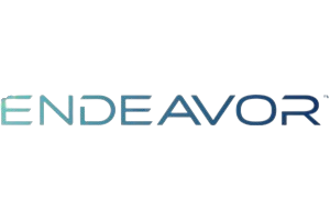 Rheem Endeavor HVAC product line logo, representing high-efficiency heating and cooling solutions installed by All Temp.