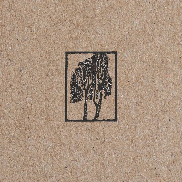 Sycamore 7" (Bonus 2x7" included with pre-orders of Seqouia box set) - Numero Group 2025
