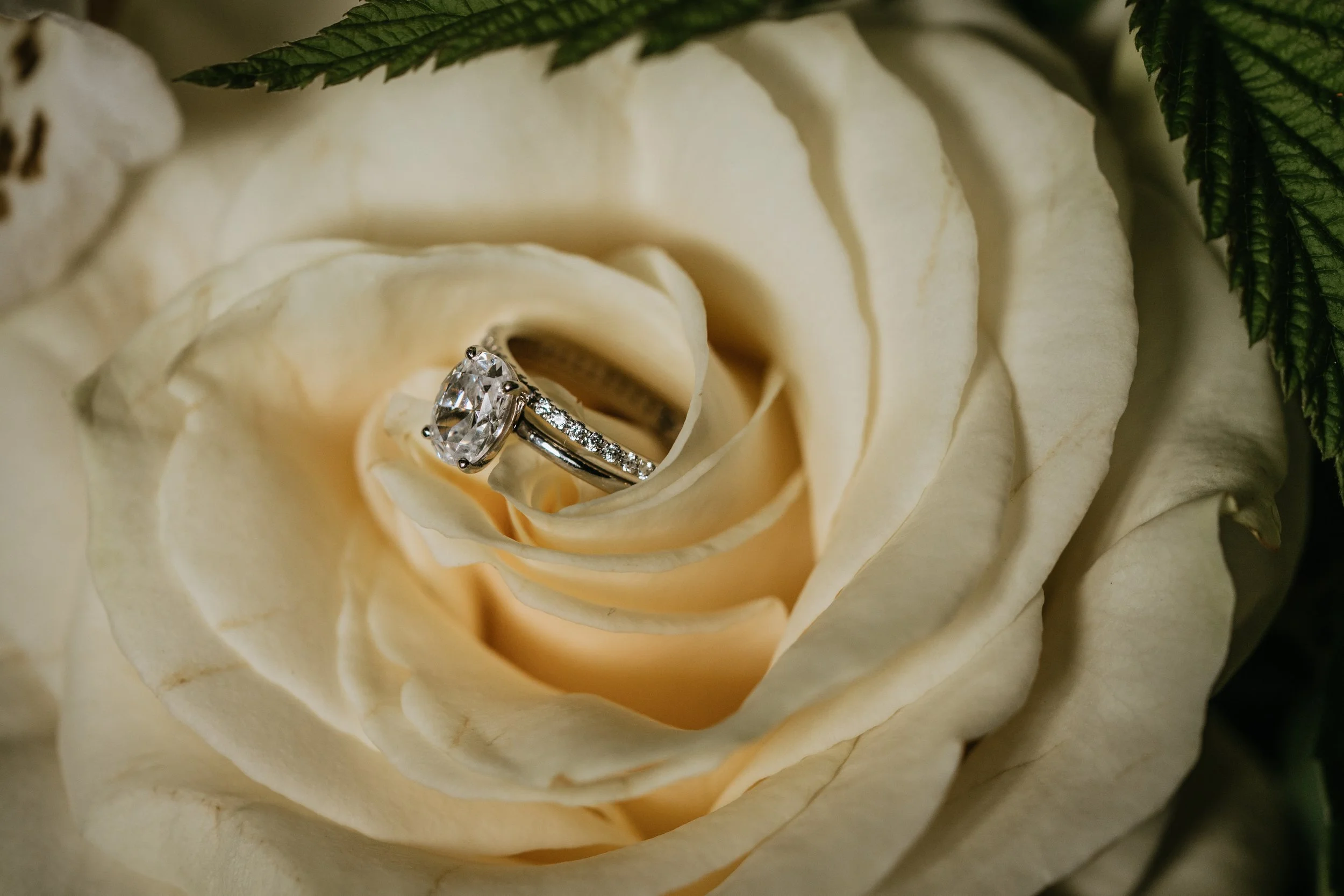 McNally-Neuberger Wedding-136.jpg