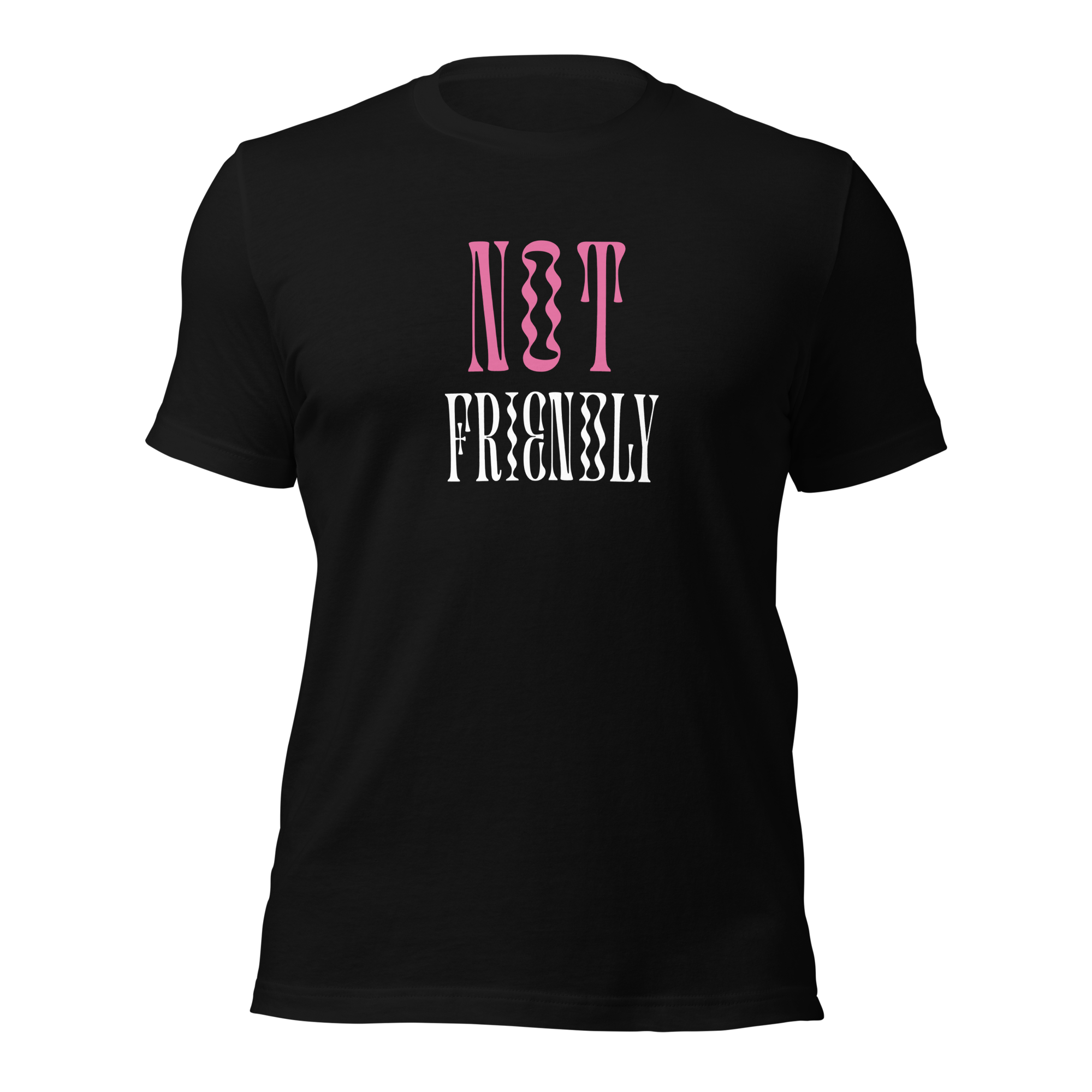 Not Friendly graphic T-shirt by The Defiant Feminist