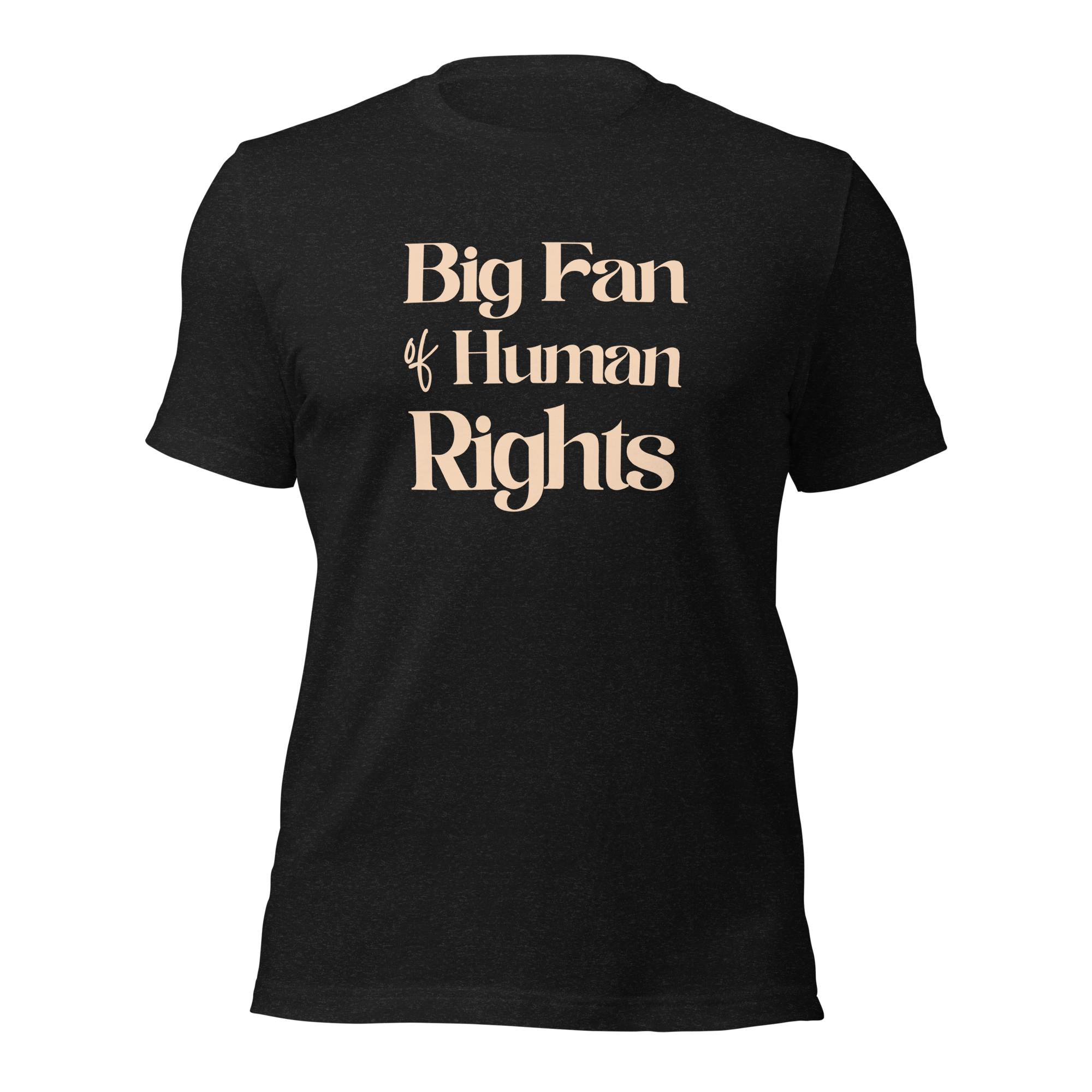 Big Fan of Human Rights Unisex t-shirt