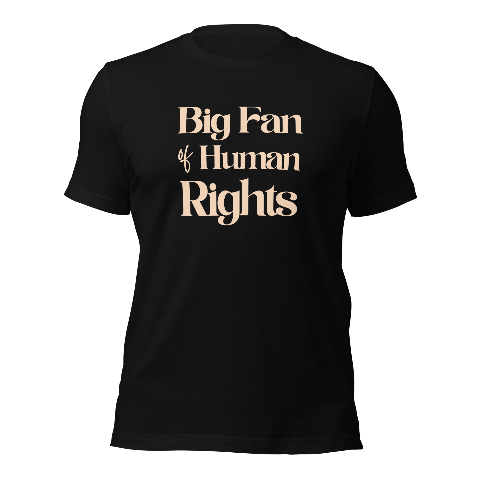Big Fan of Human Rights Unisex t-shirt
