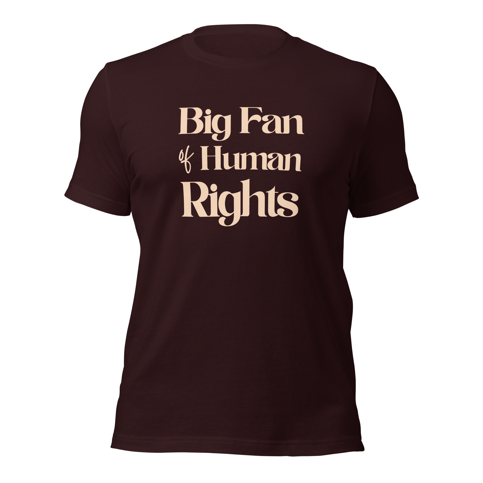 Big Fan of Human Rights Unisex t-shirt