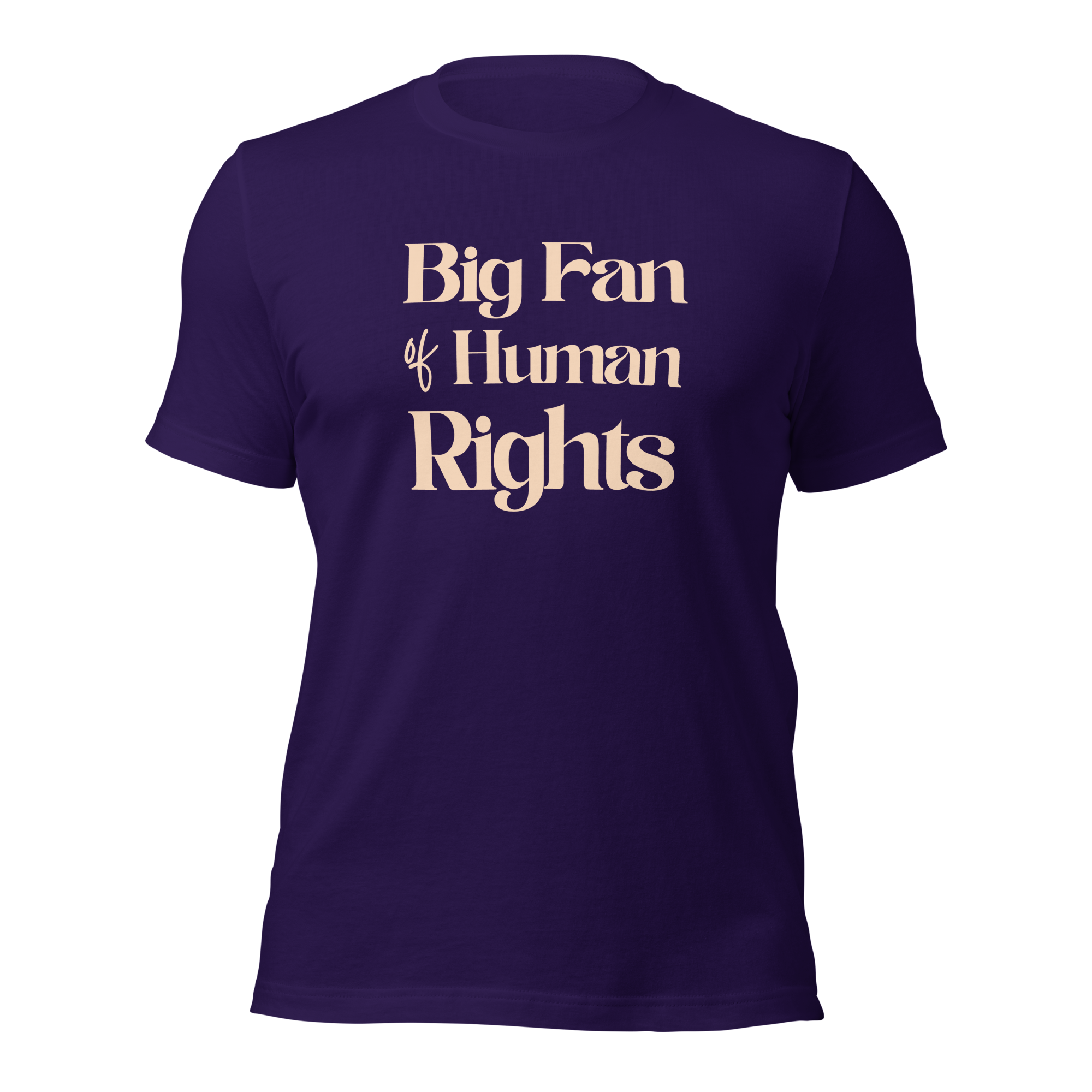 Big Fan of Human Rights Unisex t-shirt