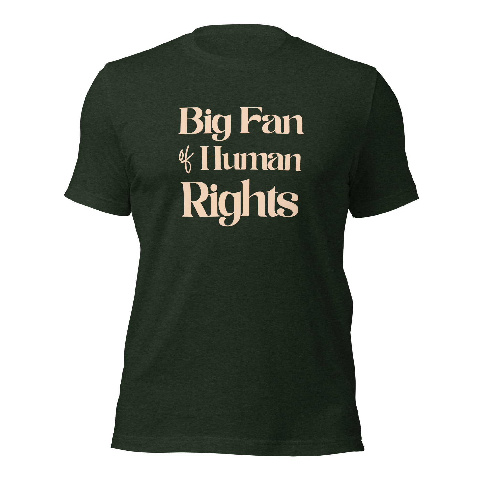 Big Fan of Human Rights Unisex t-shirt