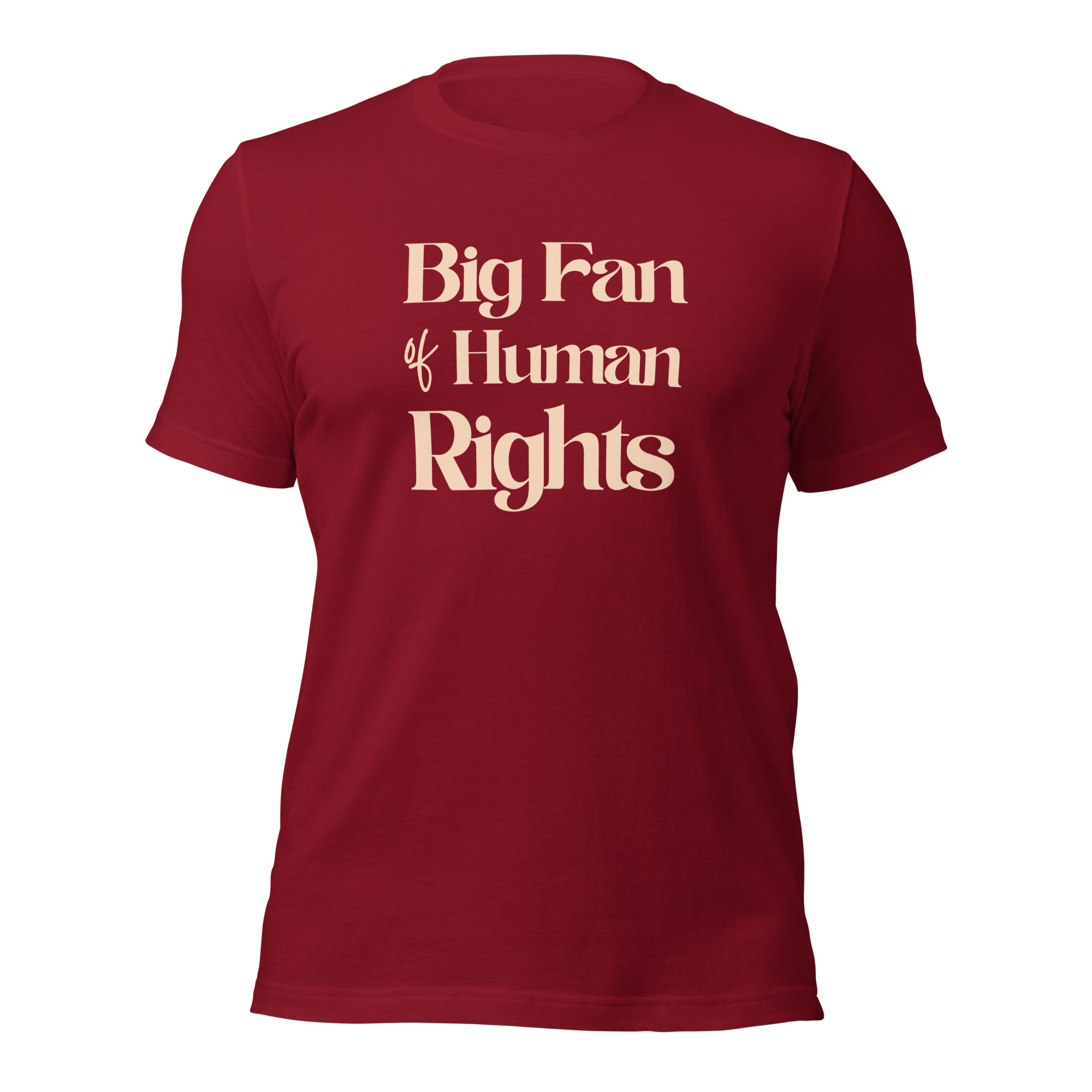 Big Fan of Human Rights Unisex t-shirt