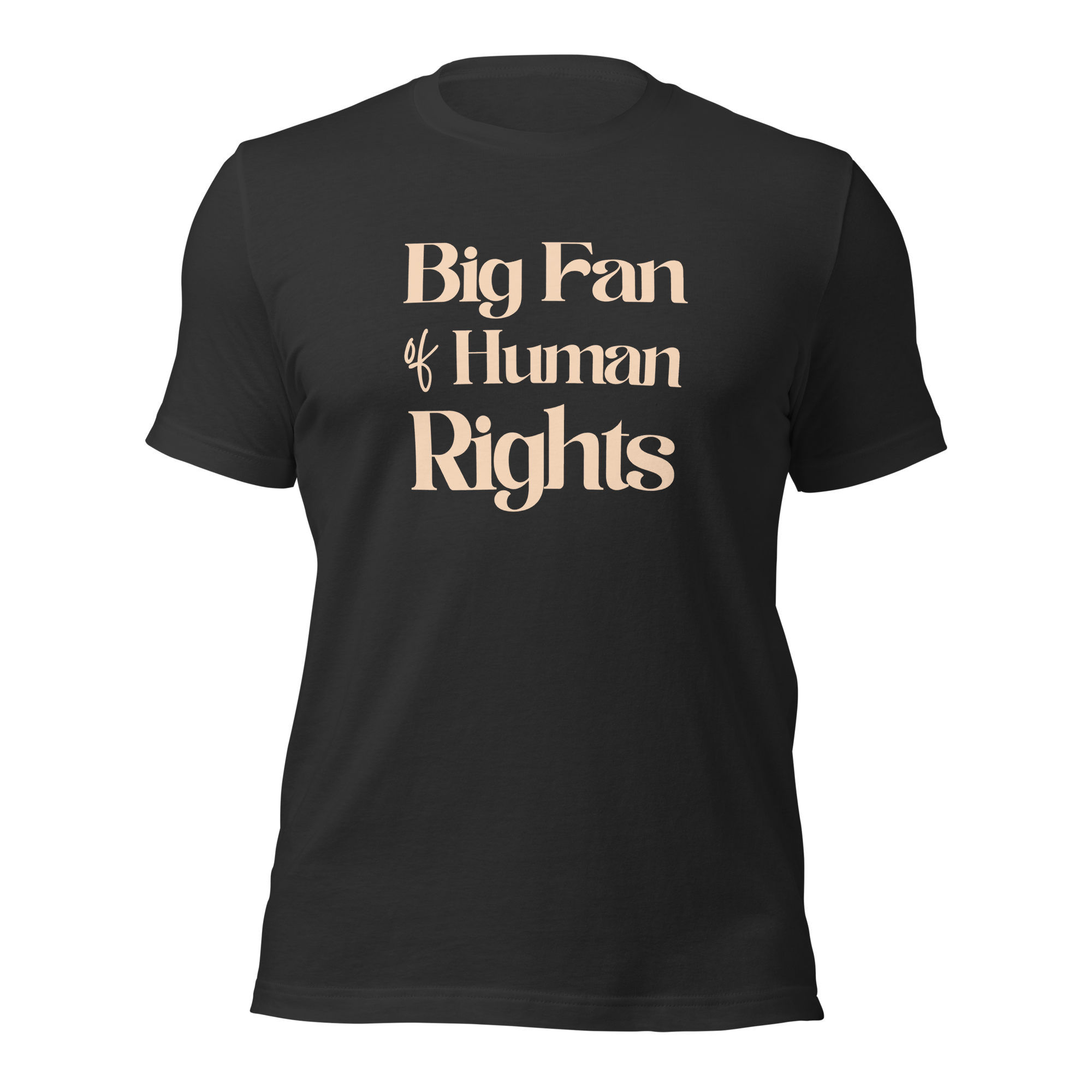 Big Fan of Human Rights Unisex t-shirt