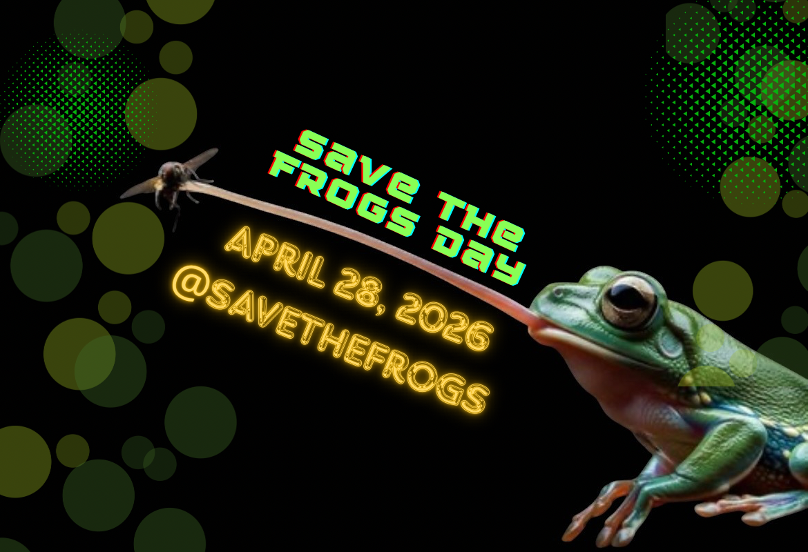 save the frogs day!.png