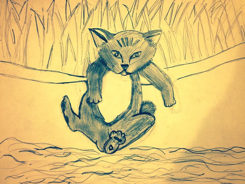 Sketch