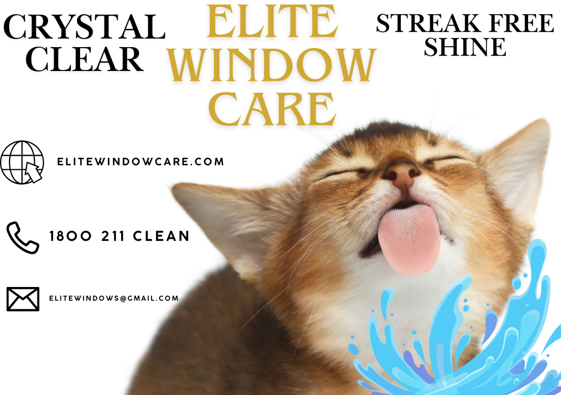 Elite window care.png