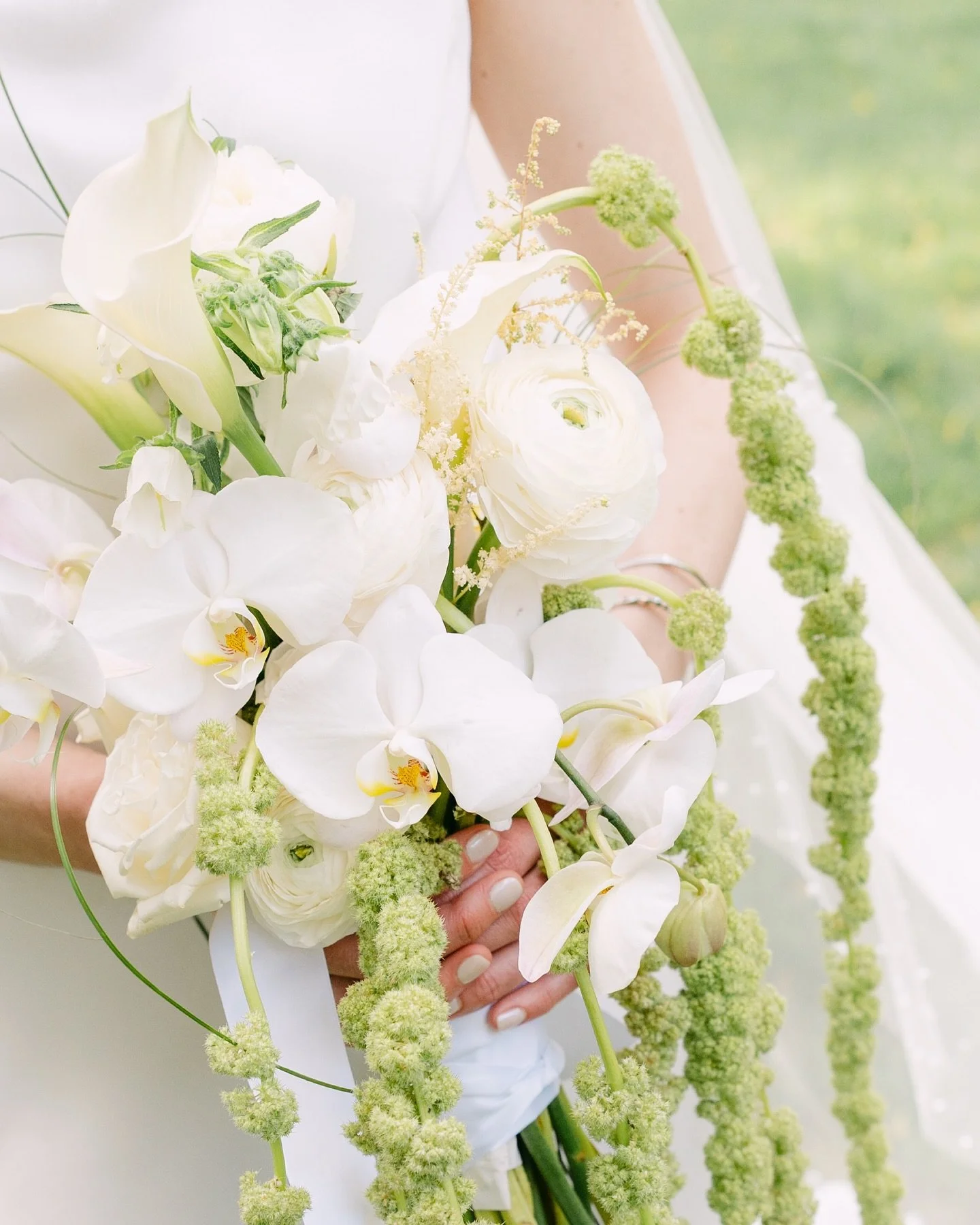 Photo: Rose Photos   Bouquet  
