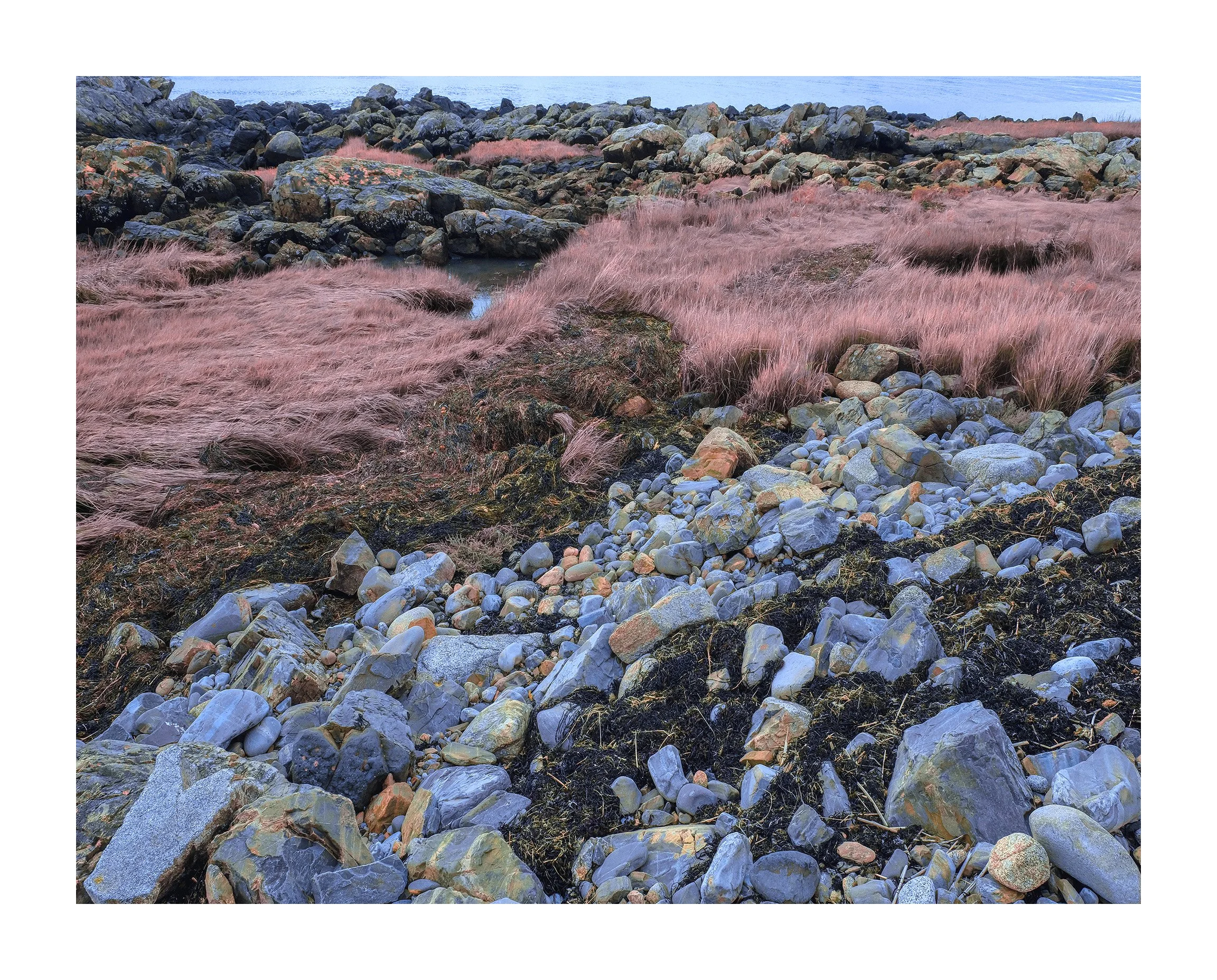 Timber Point, Biddeford V