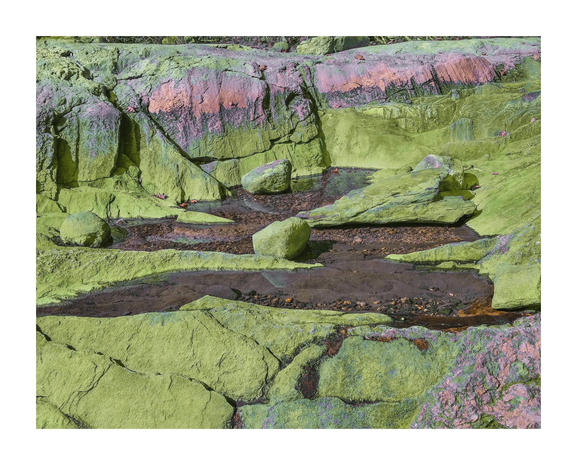 Wolfe's Neck, Freeport  III