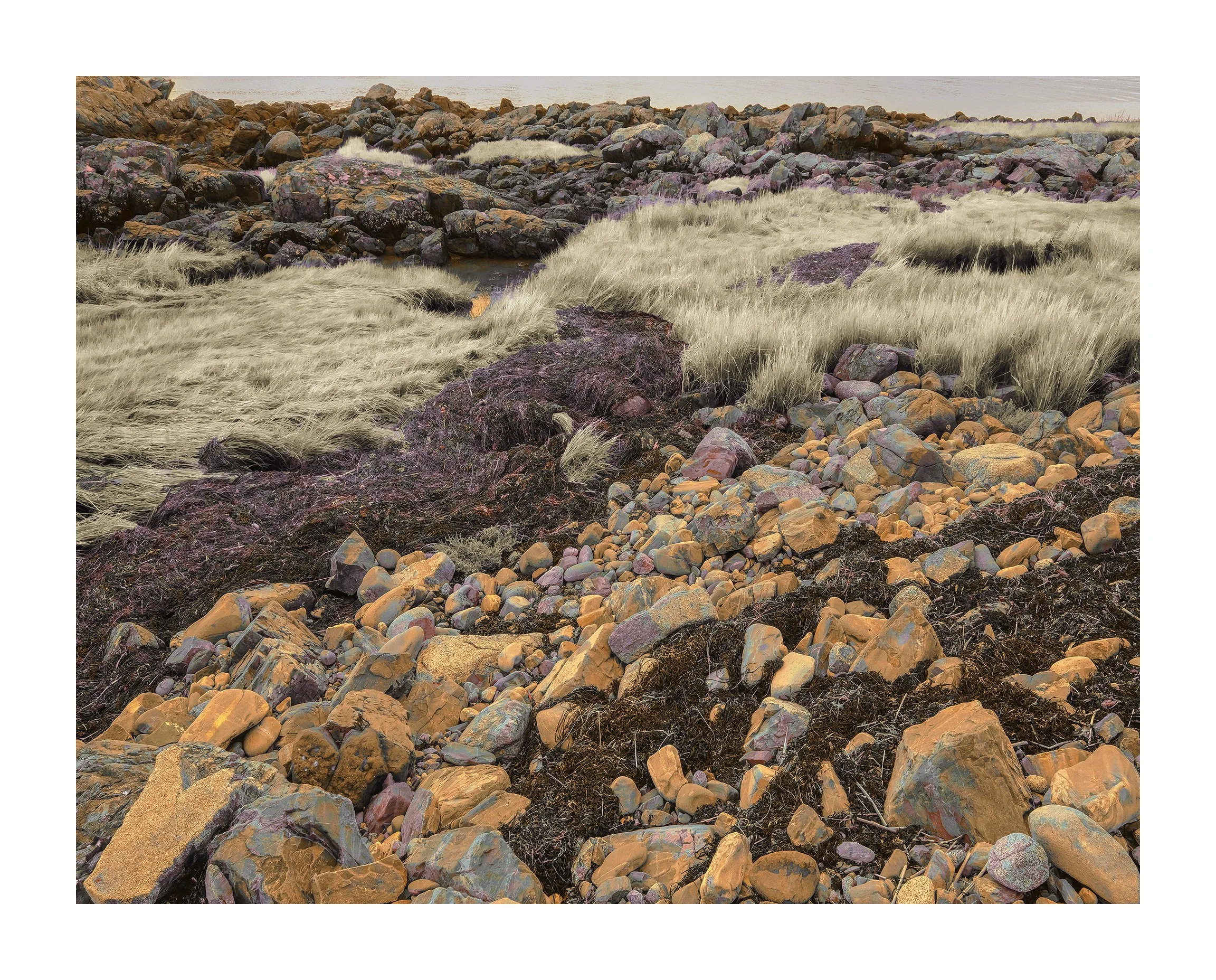 Timber Point, Biddeford V