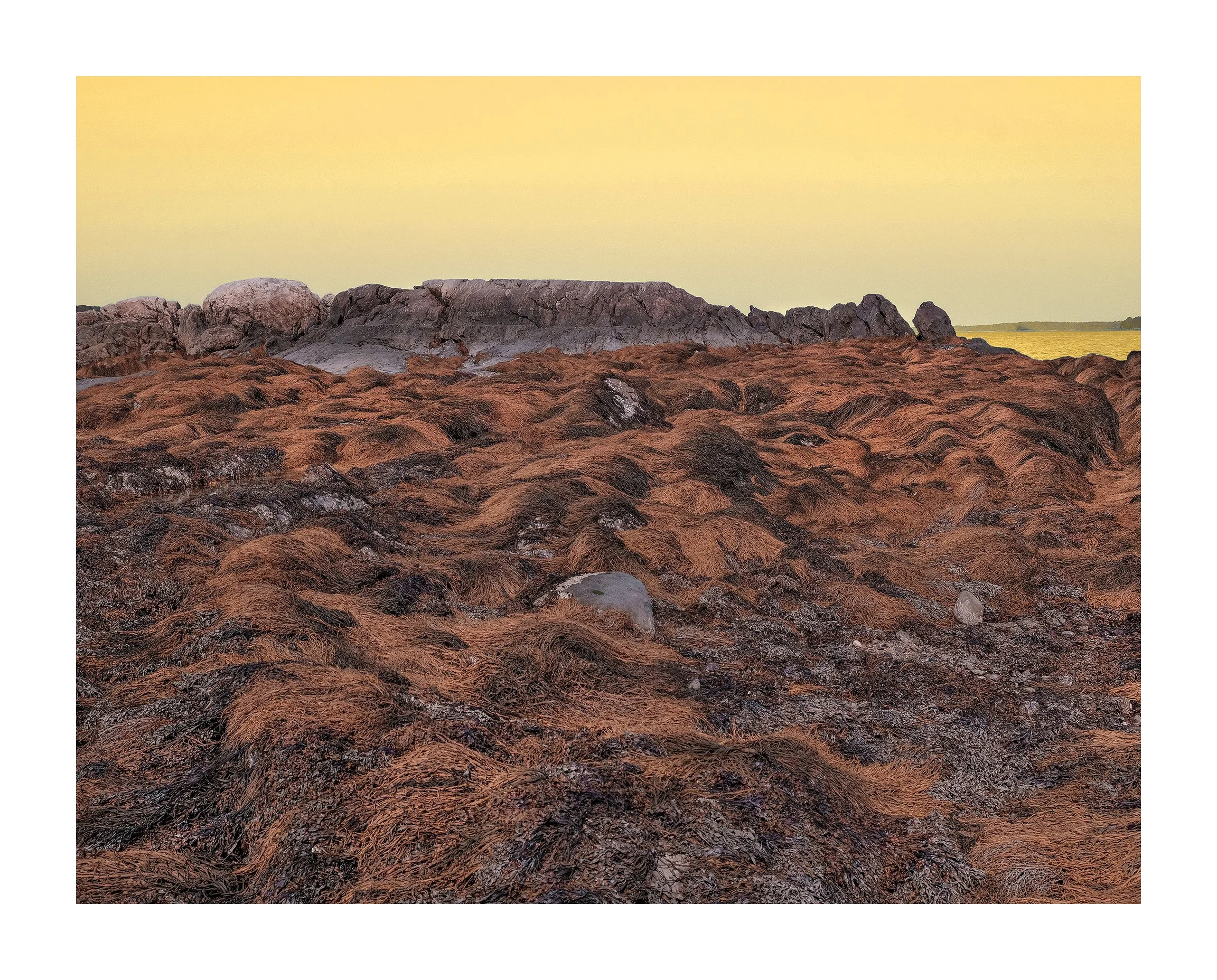 Littlejohn Island, Yarmouth !