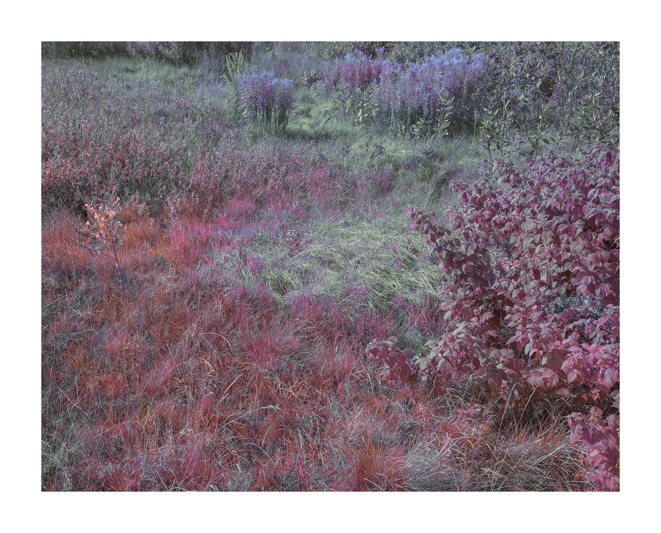 Bailey Island, Harpswell