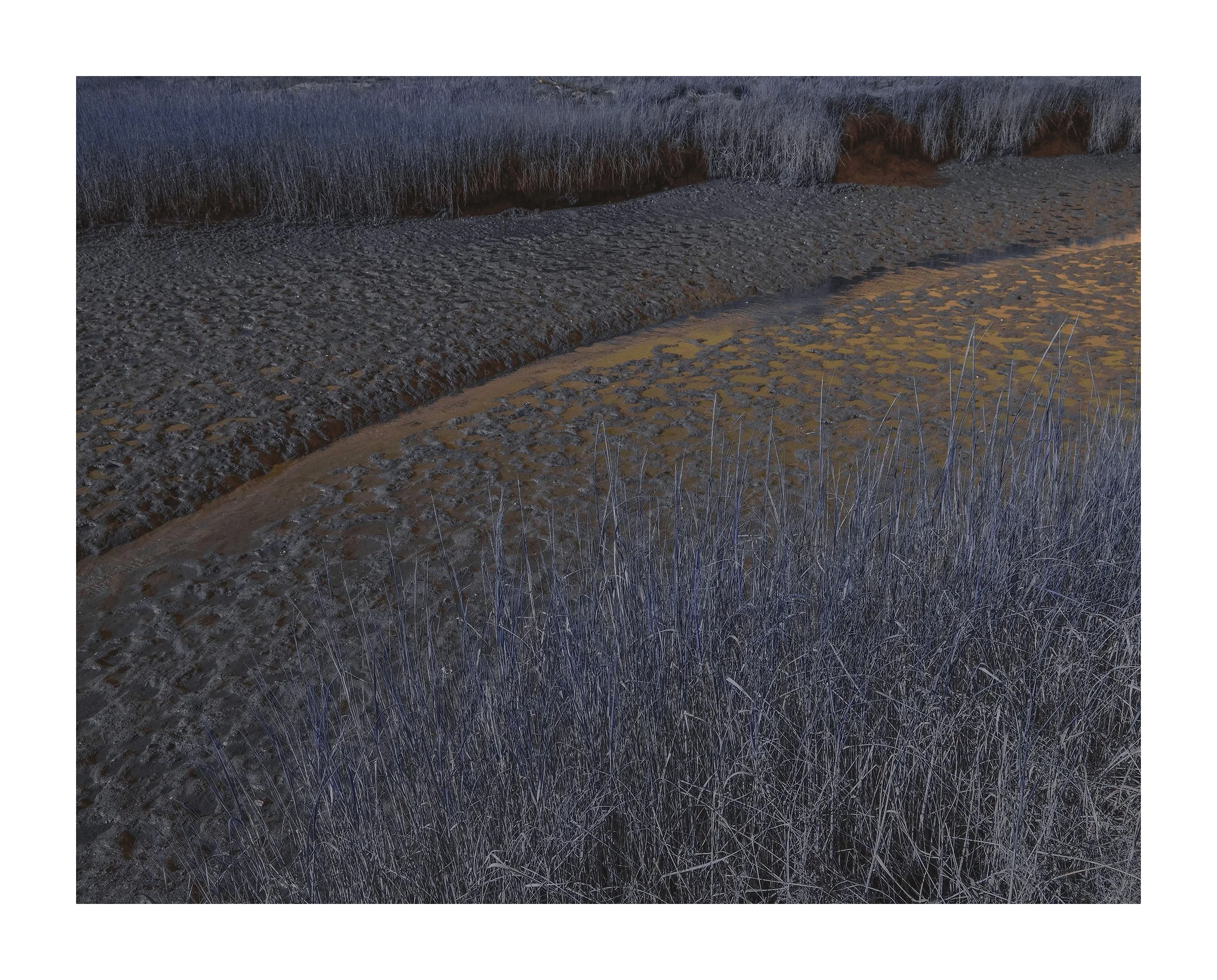 Scarborough Marsh I
